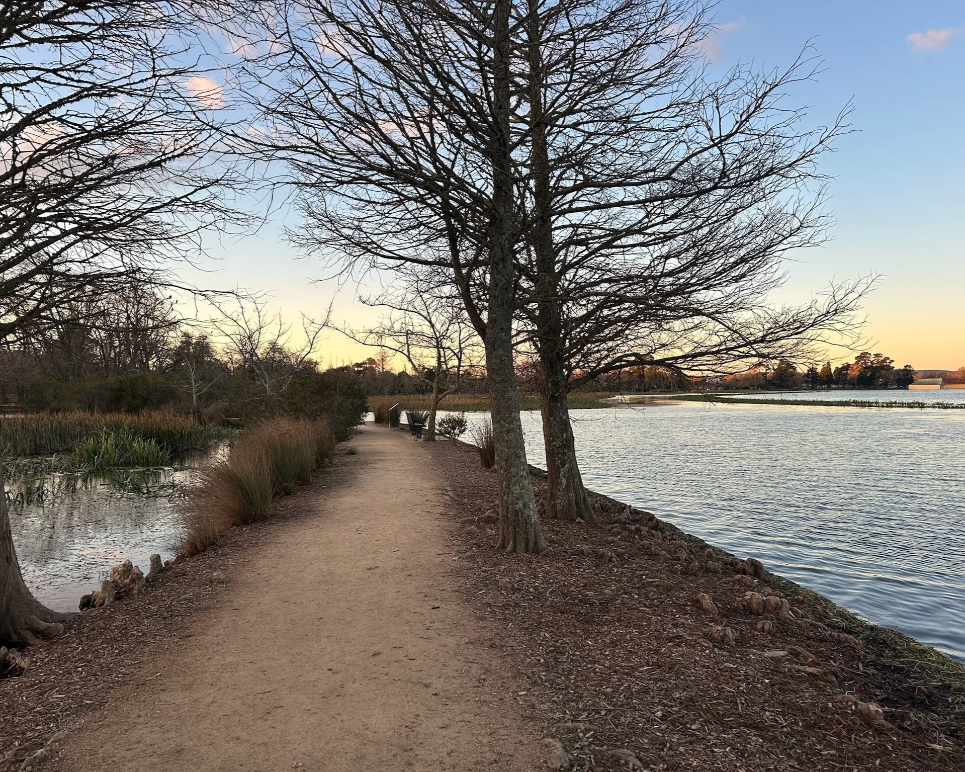 Assessing the access and inclusion of Midwest Victoria region and businesses&nbsp;