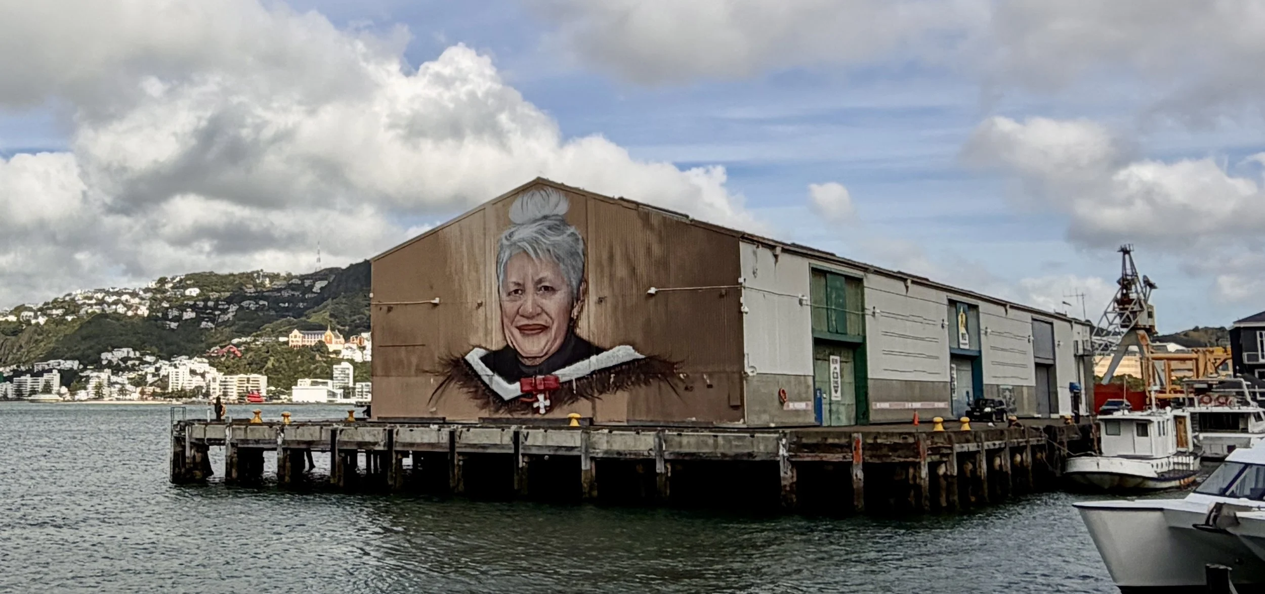 The space between us: Lessons on engagement from Aotearoa