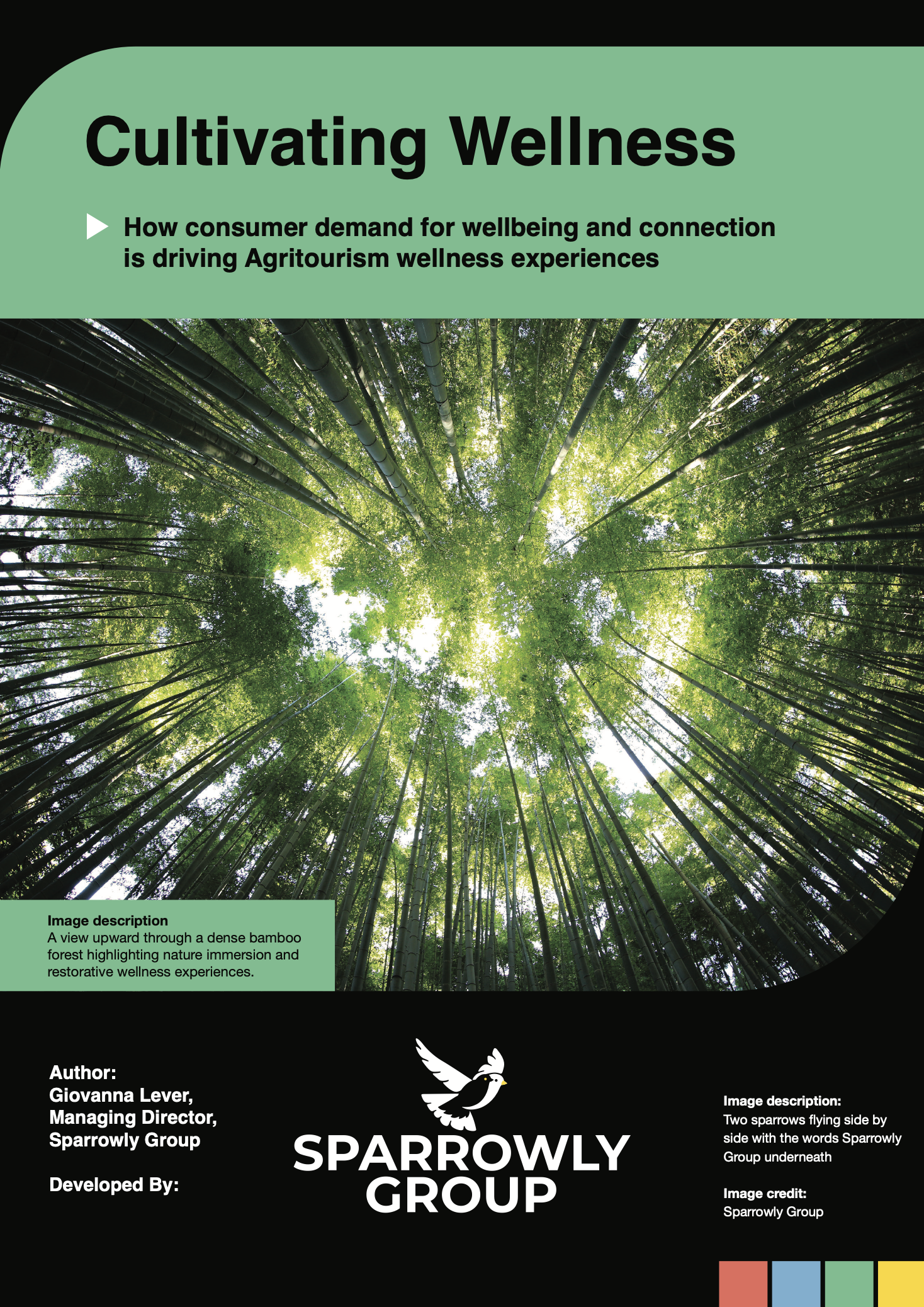 Front cover of Sparrowly Groups paper on Cultivating Wellness