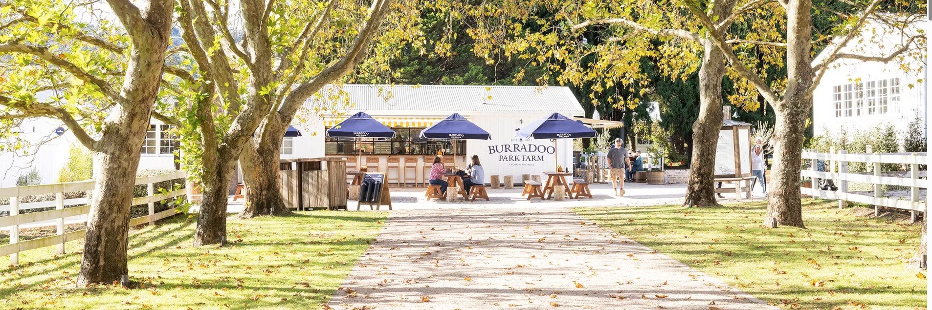Tree-lined entrance to Burradoo Park Farm café, with white fencing, outdoor picnic tables, navy umbrellas and visitors sitting and walking outside.