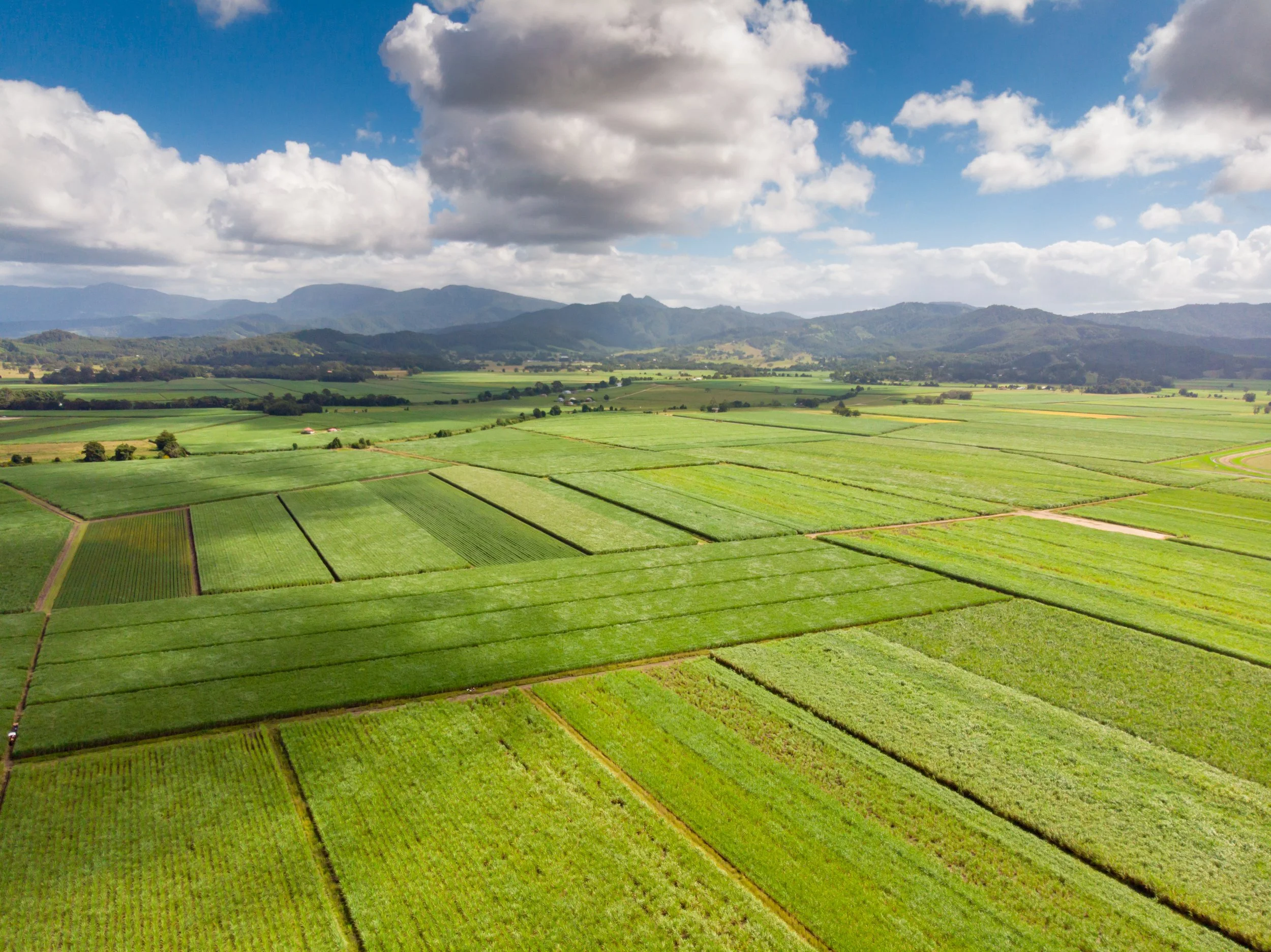 Aerial view of expansive green farmland divided into neat fields, representing productive agriculture and regional landscapes.