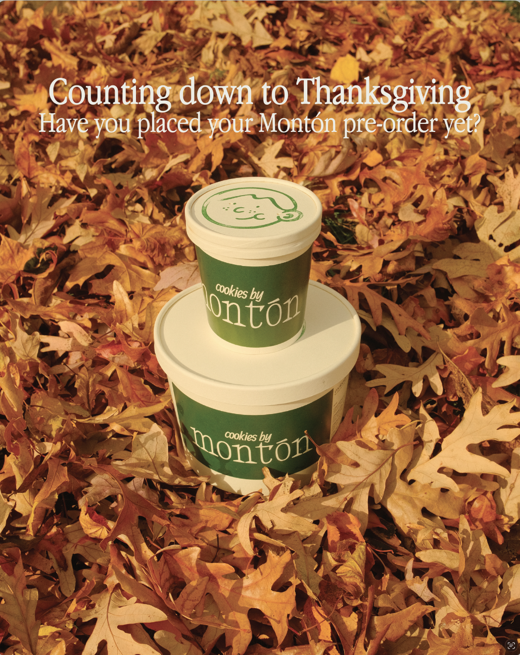 Two containers of cookies by Montón, one large and one small, placed on a bed of fallen autumn leaves. The containers are green with white lids, and the smaller container is stacked on top of the larger one.