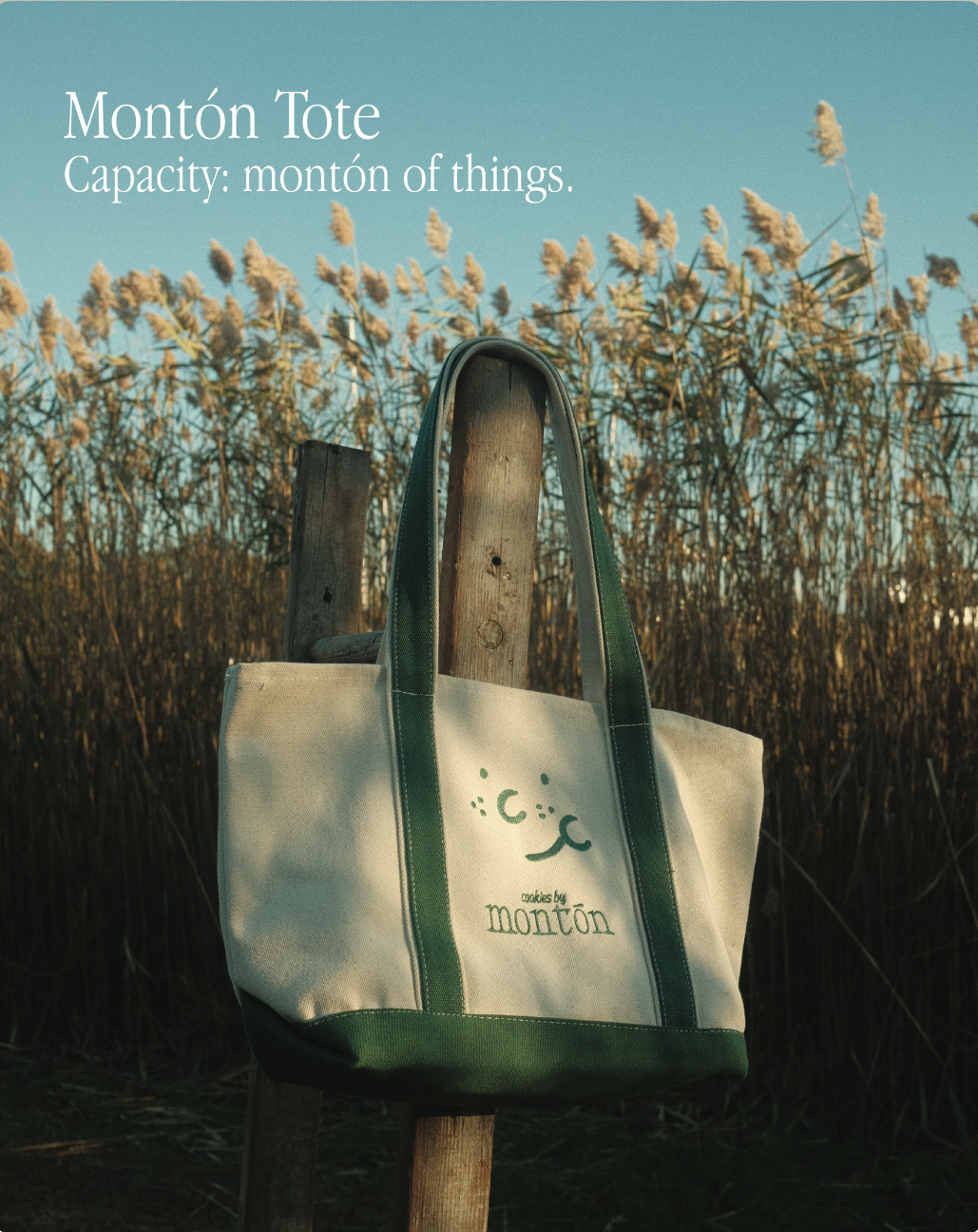 A tote bag with a smiley face and moon design hanging on a wooden post in a field of tall grass and white flowers, with a clear sky in the background.