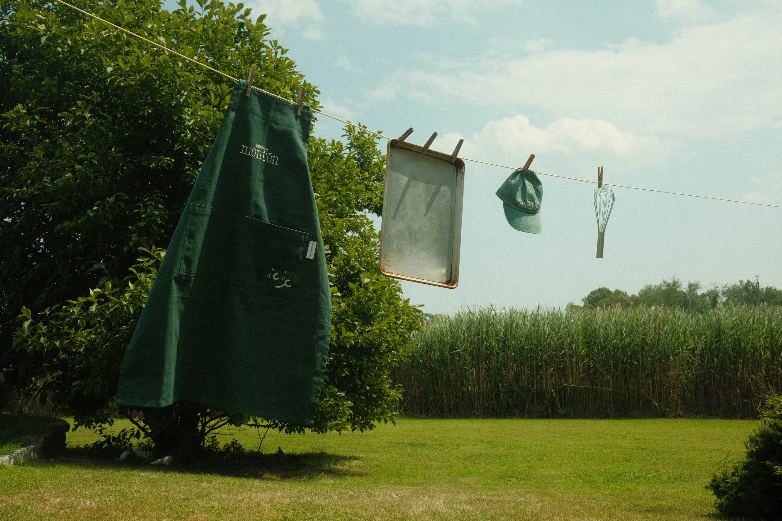 A green apron, a tray, a green cap, and a whisk hanging on a clothesline outdoors, with fields, trees, and a blue sky in the background.