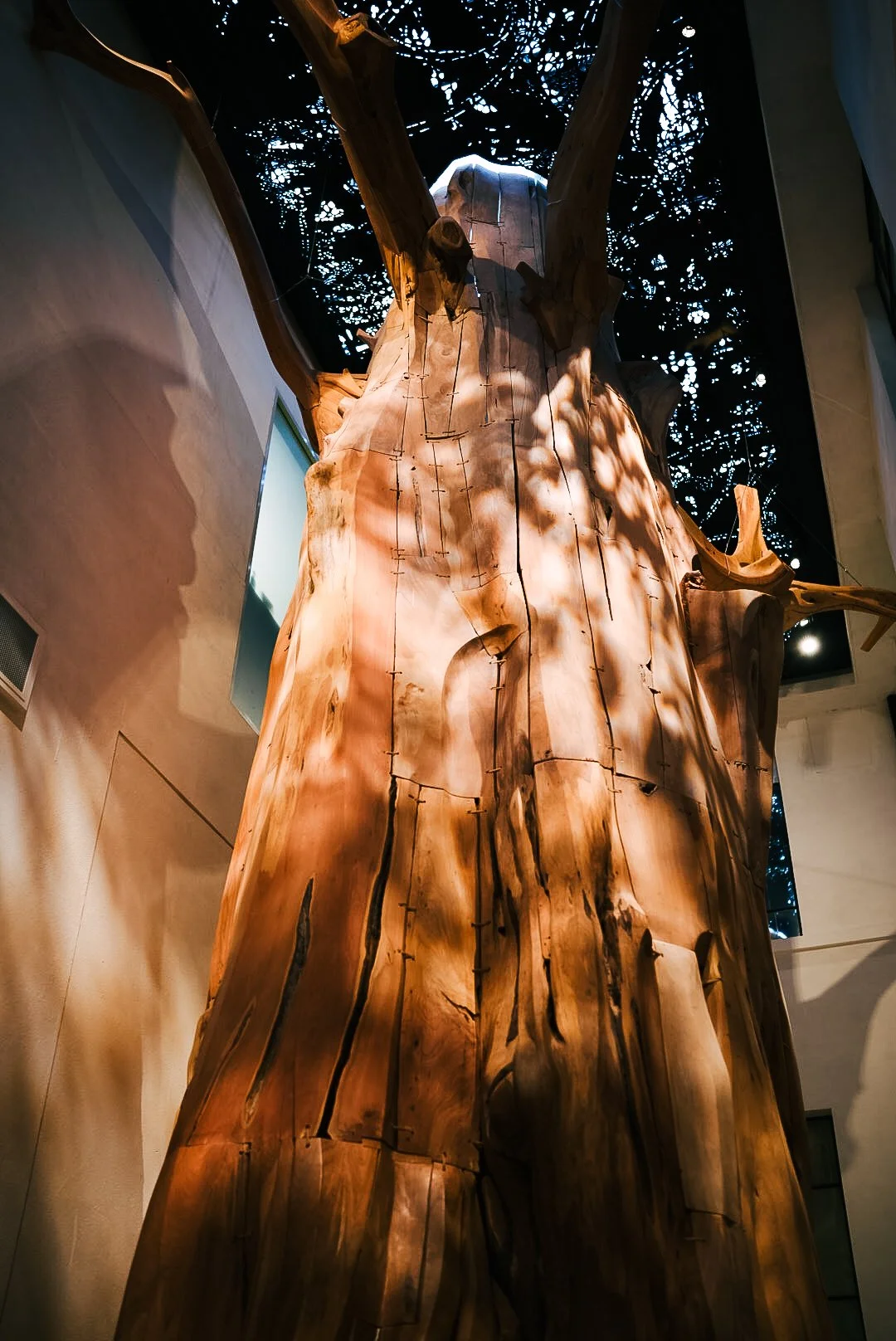 haumanu photo Alvin Brown.jpg