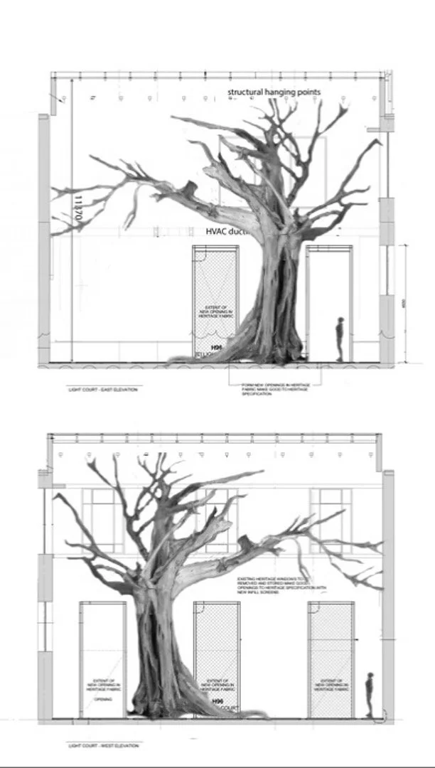 drawings Haumanu.jpg