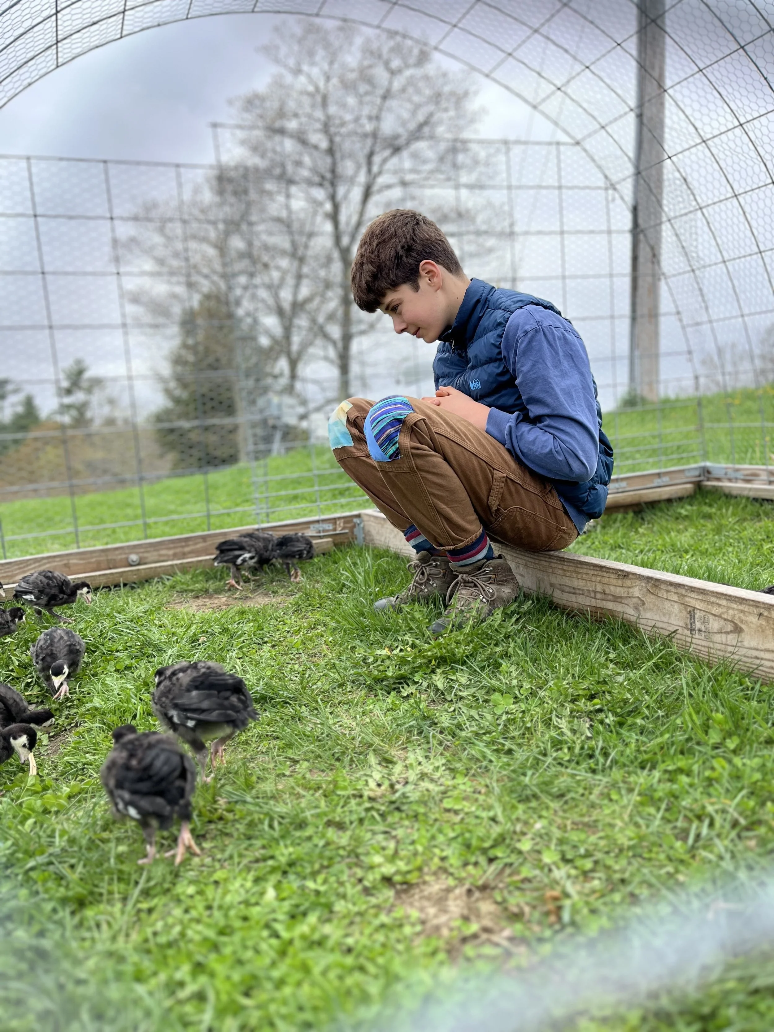 Pre-Order Thanksgiving Turkey