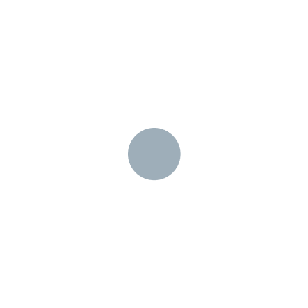 A gray circle at the center.