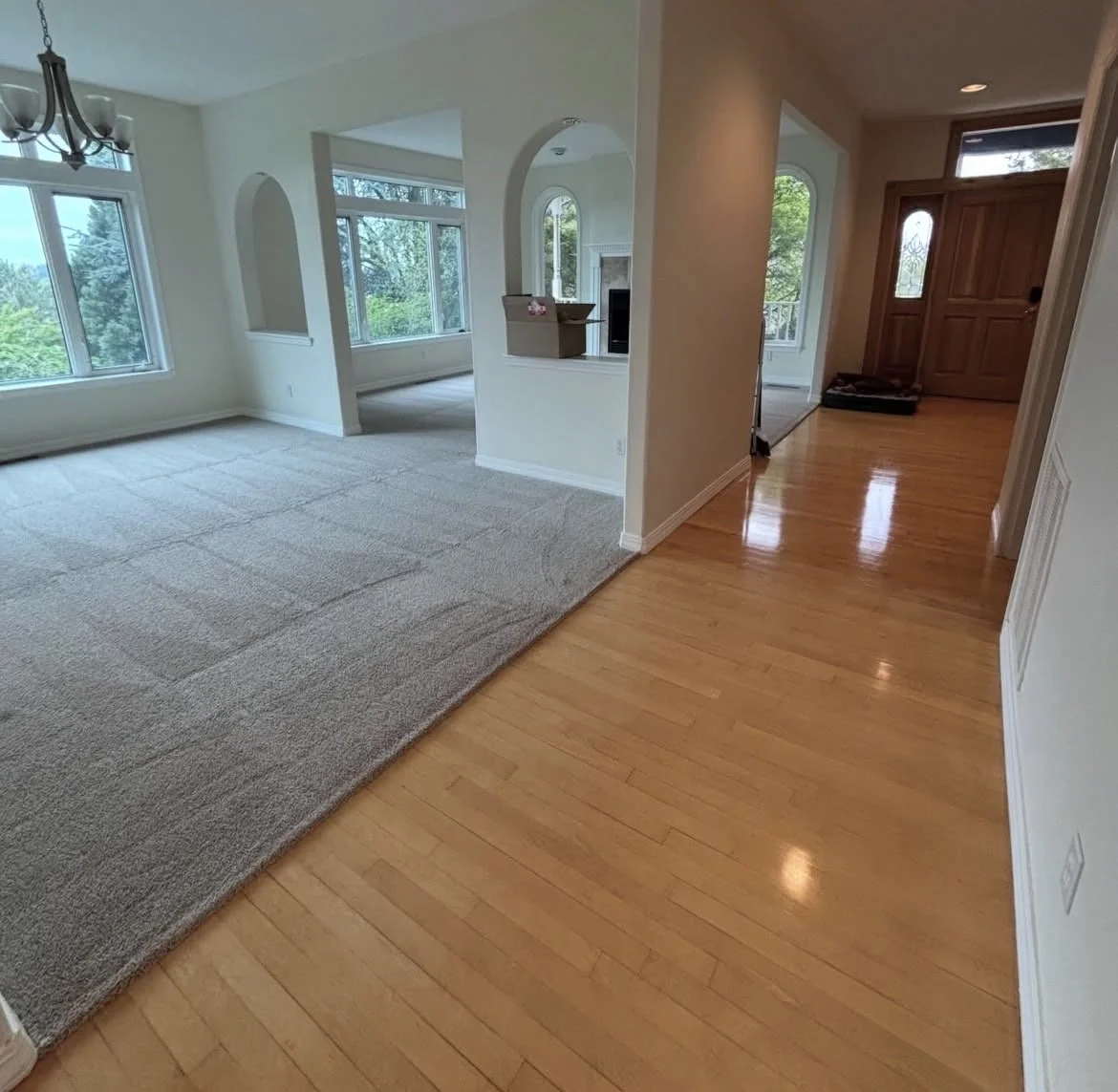 Open living room with large windows, carpeted area, and adjacent hardwood floor entrance hallway.