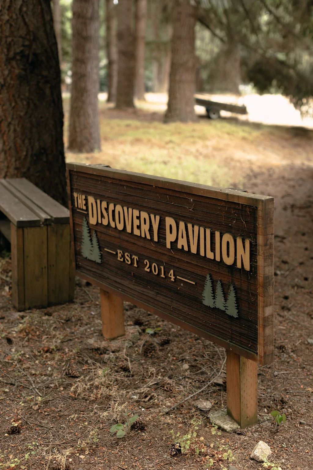 6L5A3252.jpeg