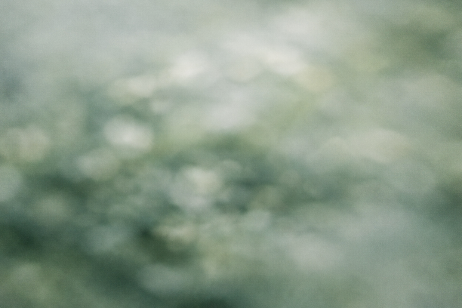 Blurry green abstract background