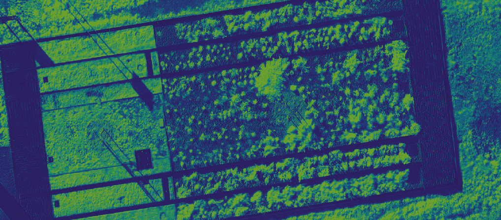 Applications for the 2025 LFA Fellowship Program now open!