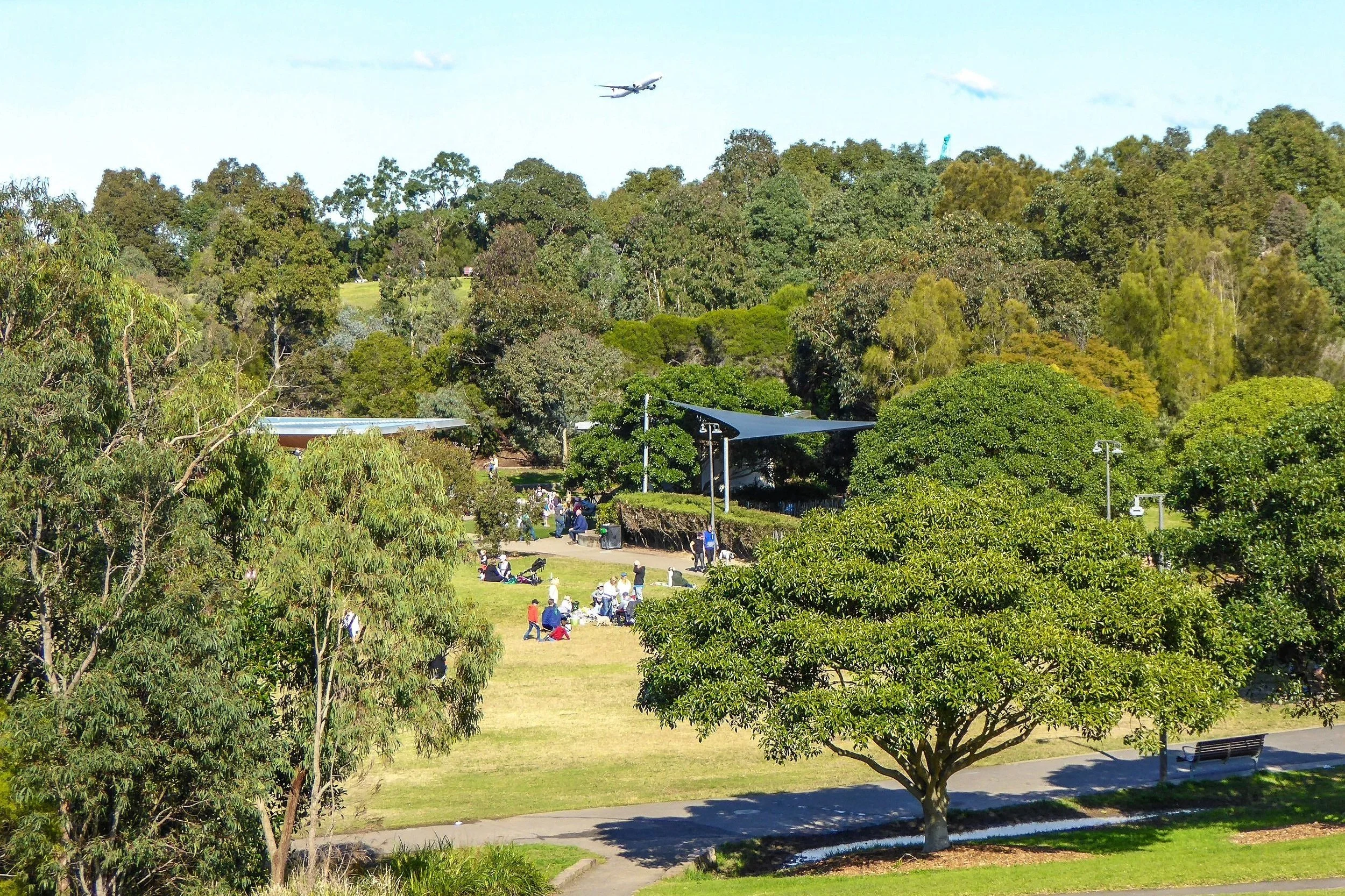 Inaugural LFA Fellowship Launched!