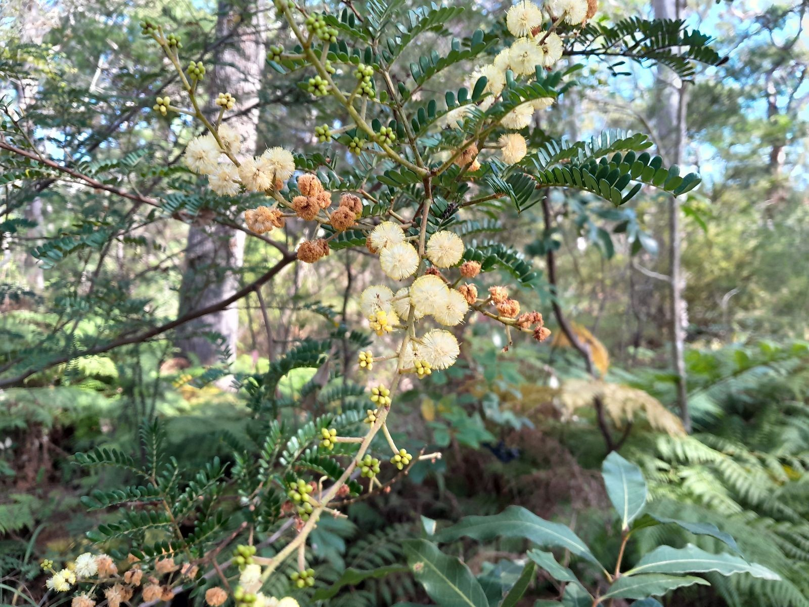 Habitat Solutions supports LFA as a Principal Donor