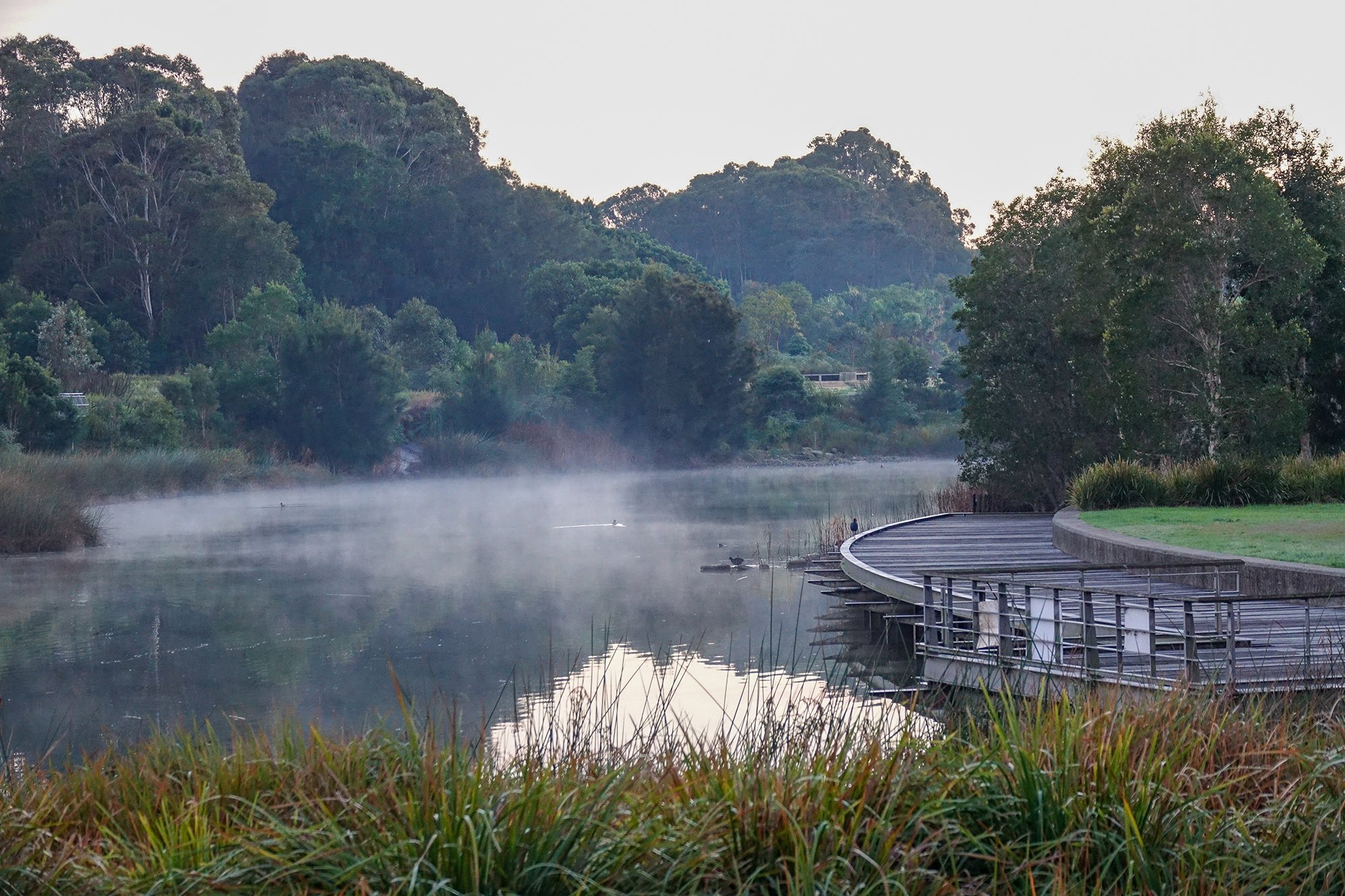 The role of ‘Not-for-profits’ in landscape practice