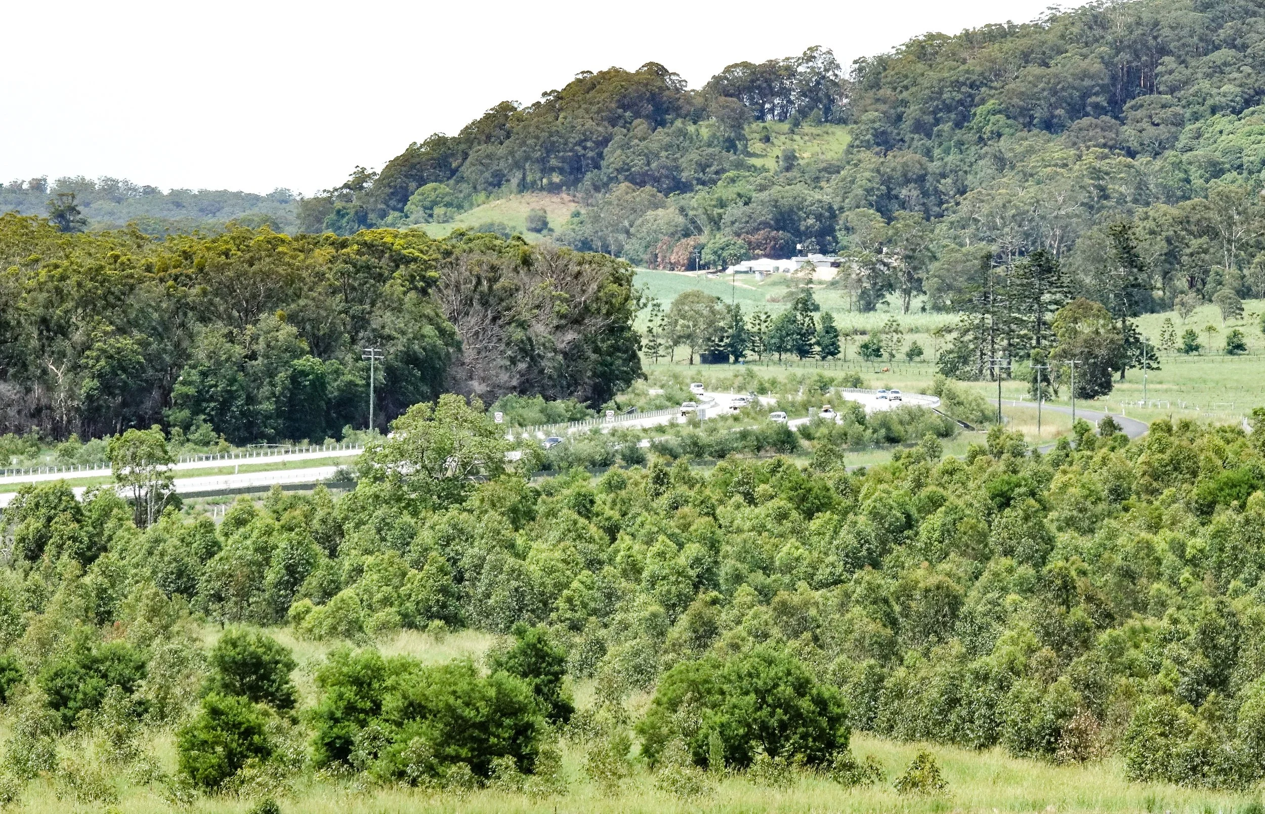 LFA makes submission on Proposed Nature Repair Market