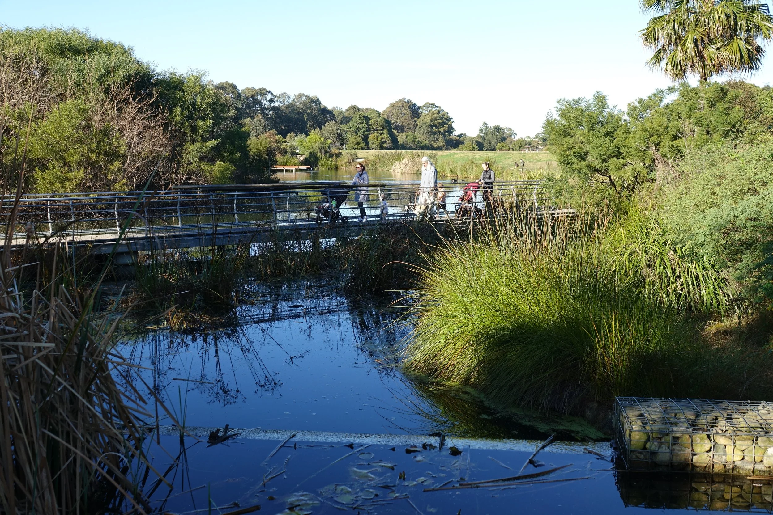 Releasing our ‘Valuing Nature’ Discussion Paper