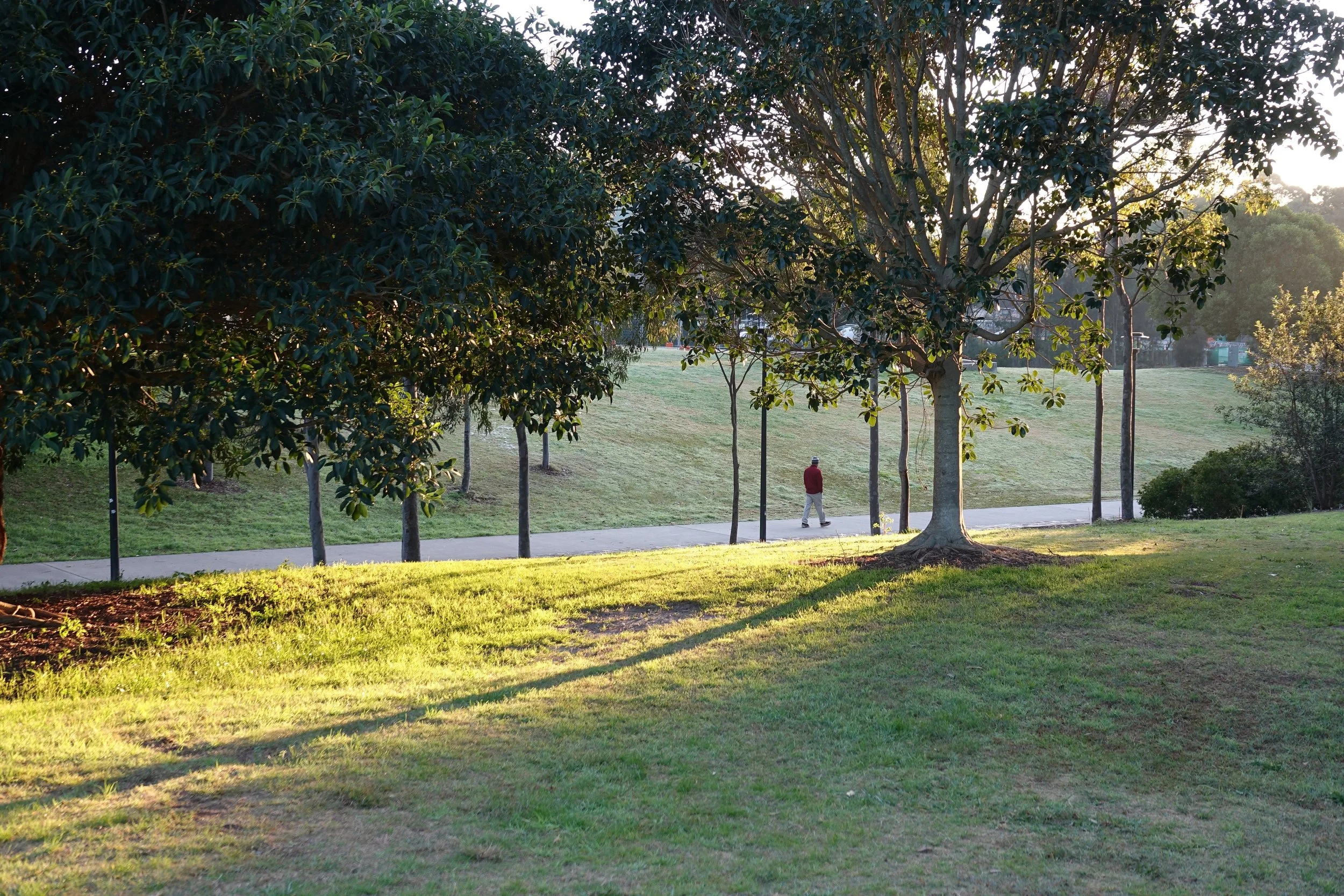 Applications for the 2026 LFA Fellowship Program now open!