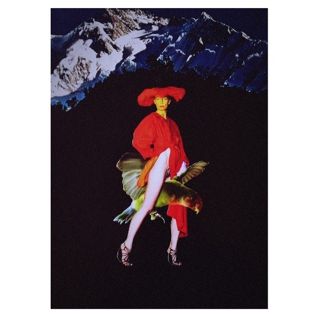 FLY FLY FLY - 22 x 28