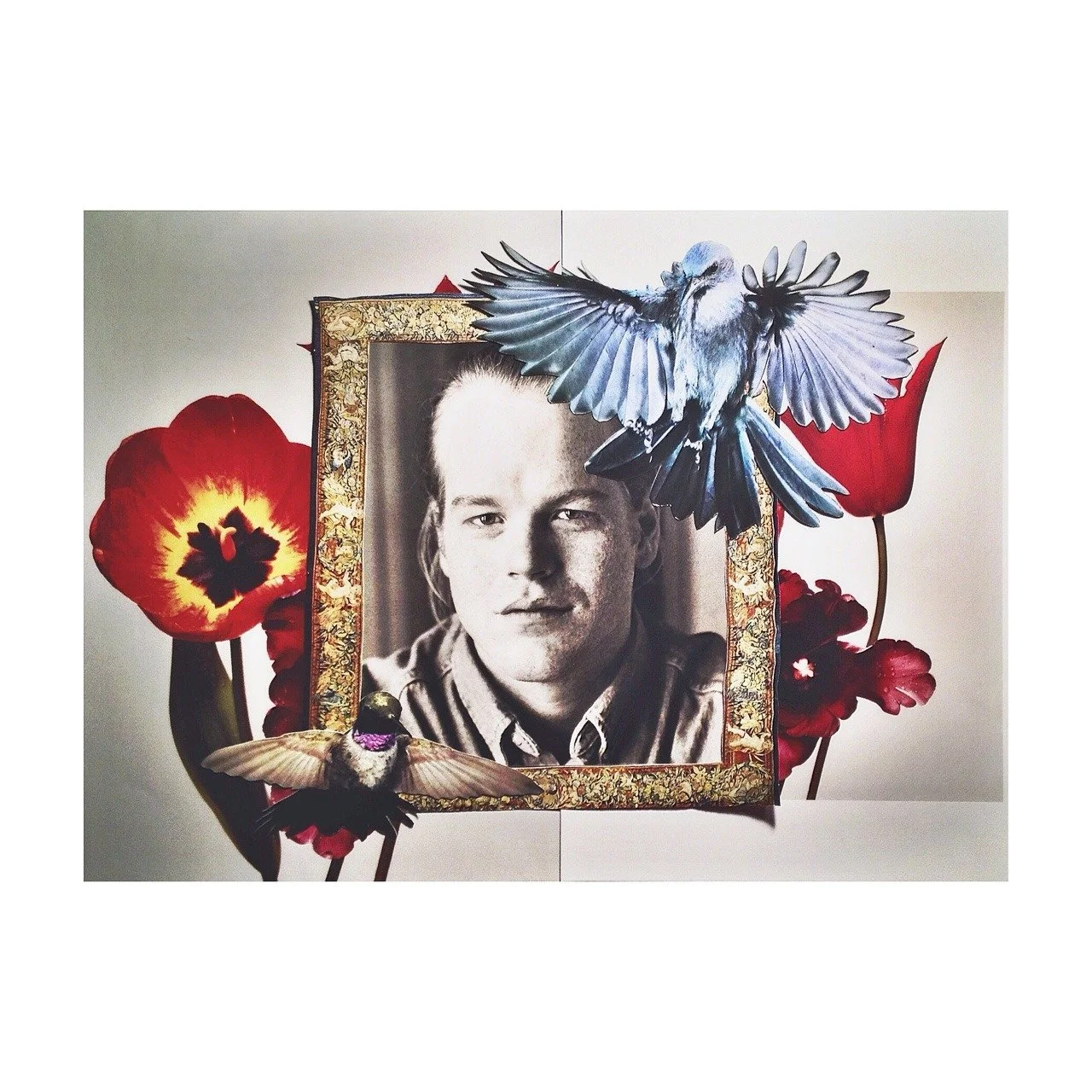 A collage of a young man surrounded by red flowers and artificial birds and butterflies.