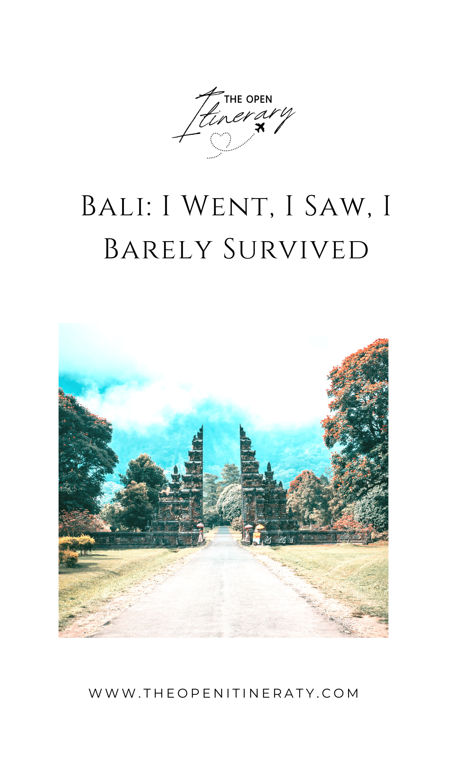 Bali: I Went, I Saw, I Barely Survived