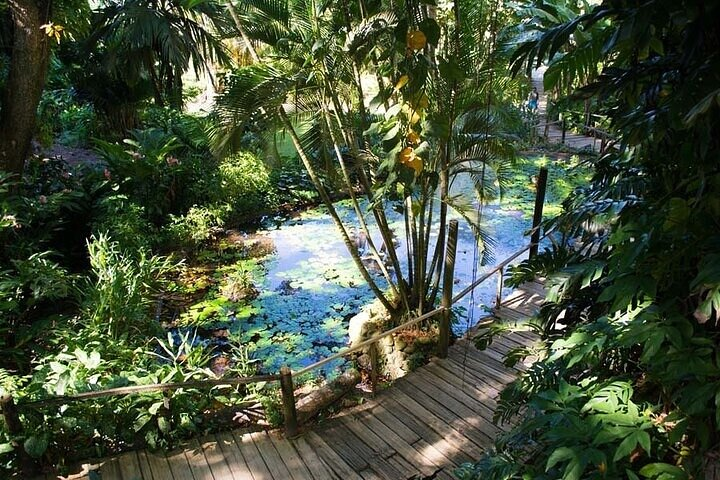 825d1b8b-f0f3-4dcd-99f3-5e8f61deb51f_private-mud-pool-and-sleeping-giant-garden-tour.jpg.png