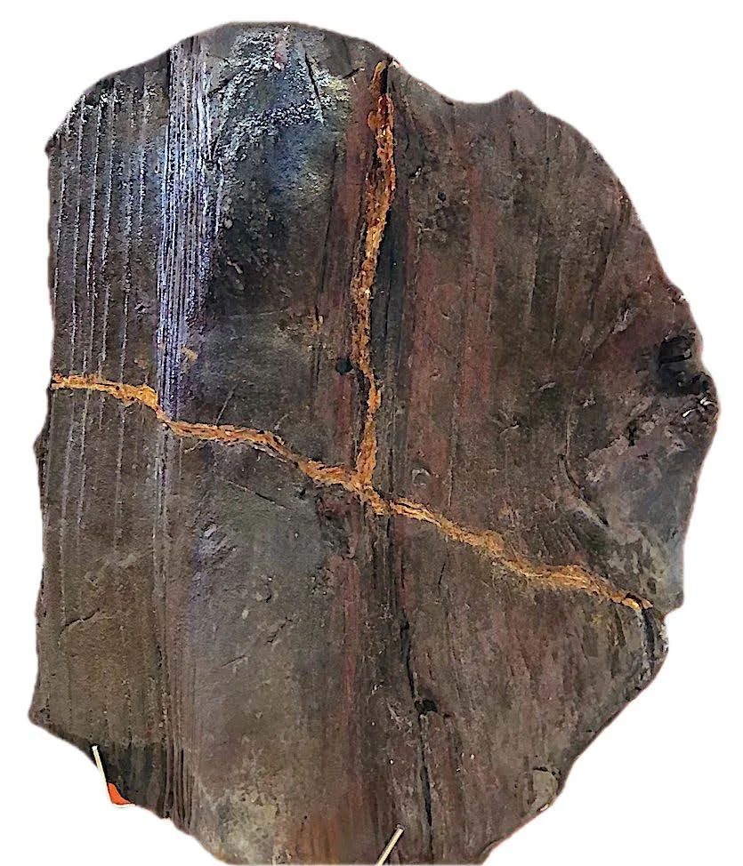 Details: "Tree bark #2" | 2024 | Ceramic, gold fill | 9" x 7" x 1"