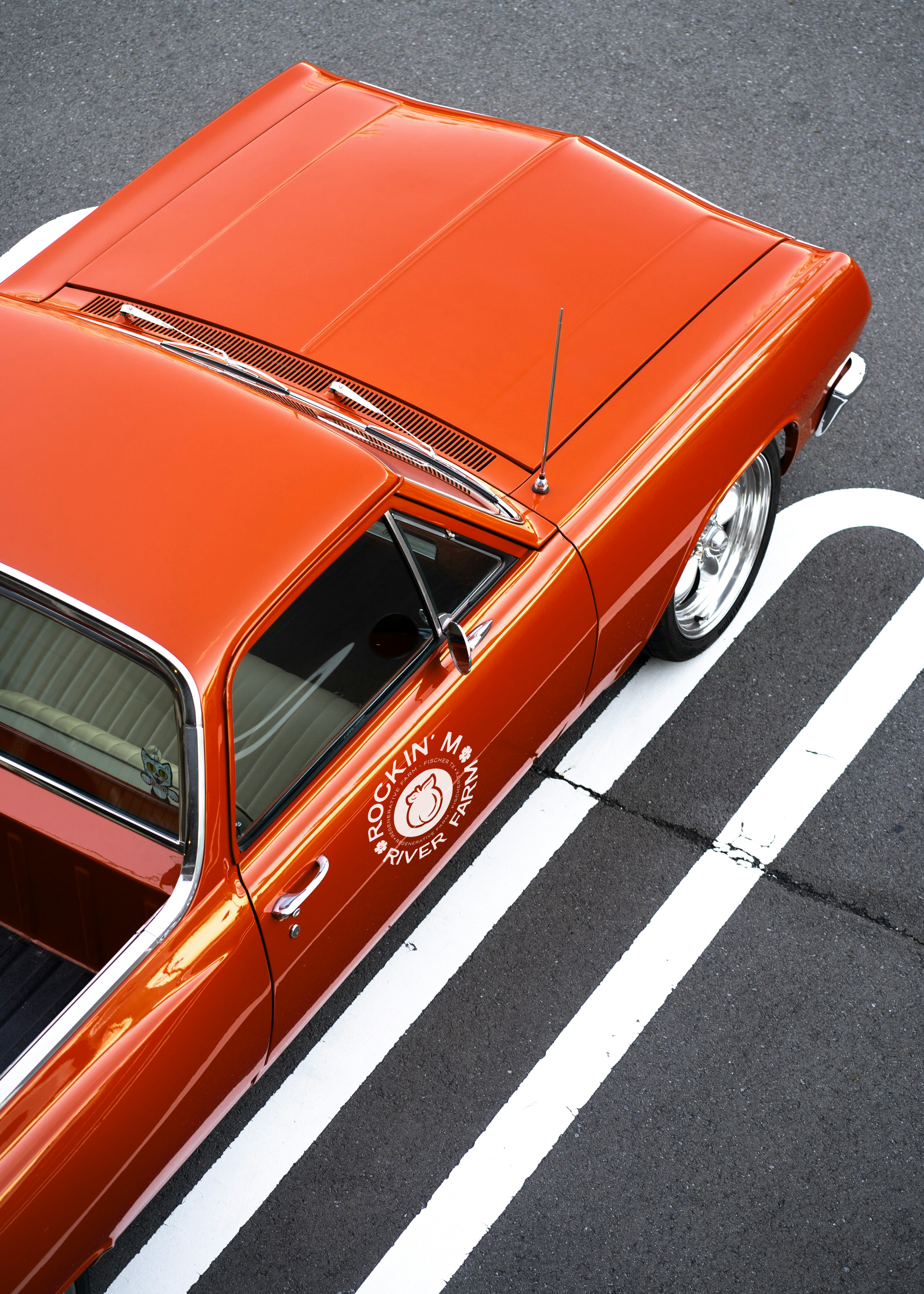 Rockin' M River Farm