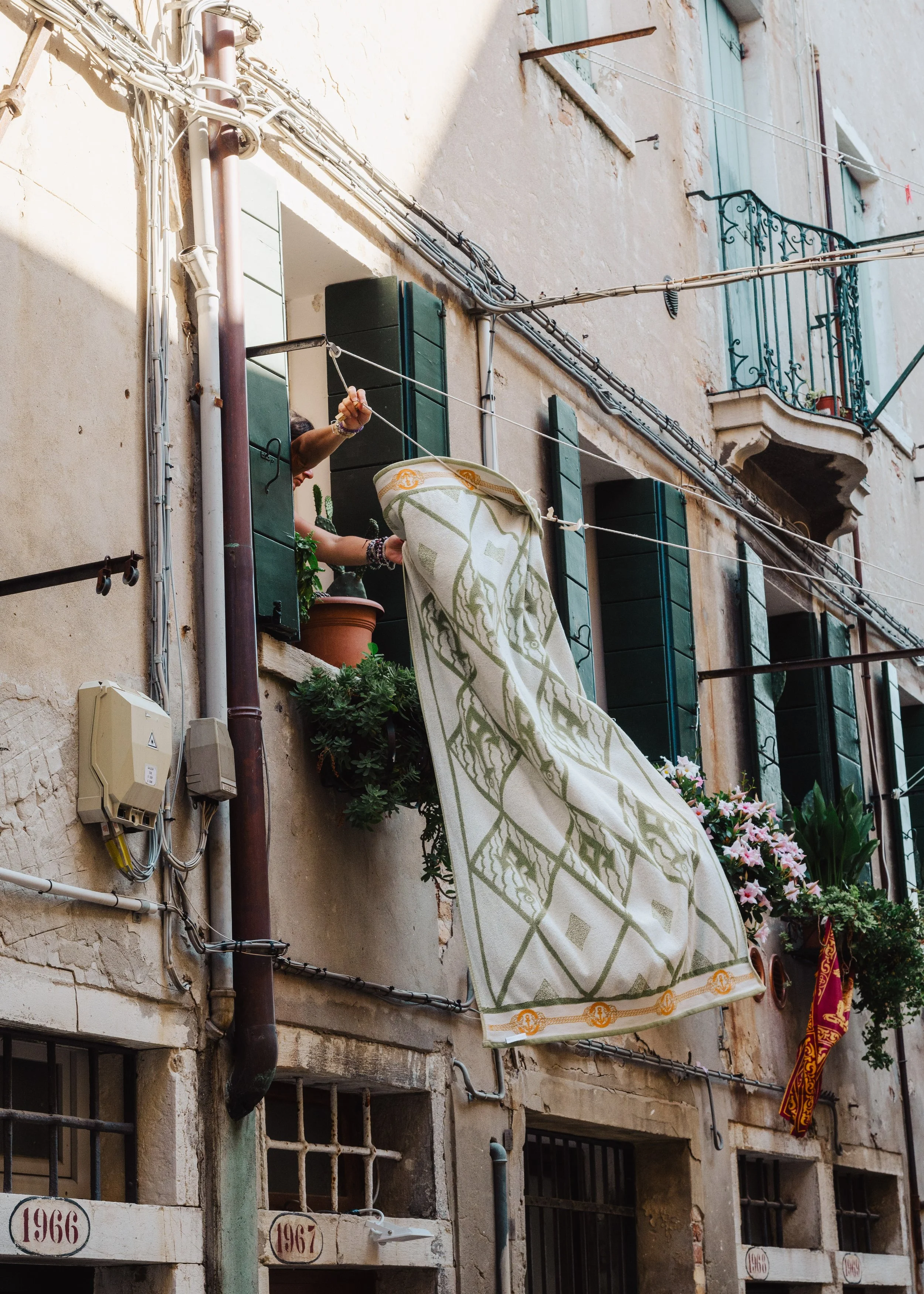 Website-51.jpg