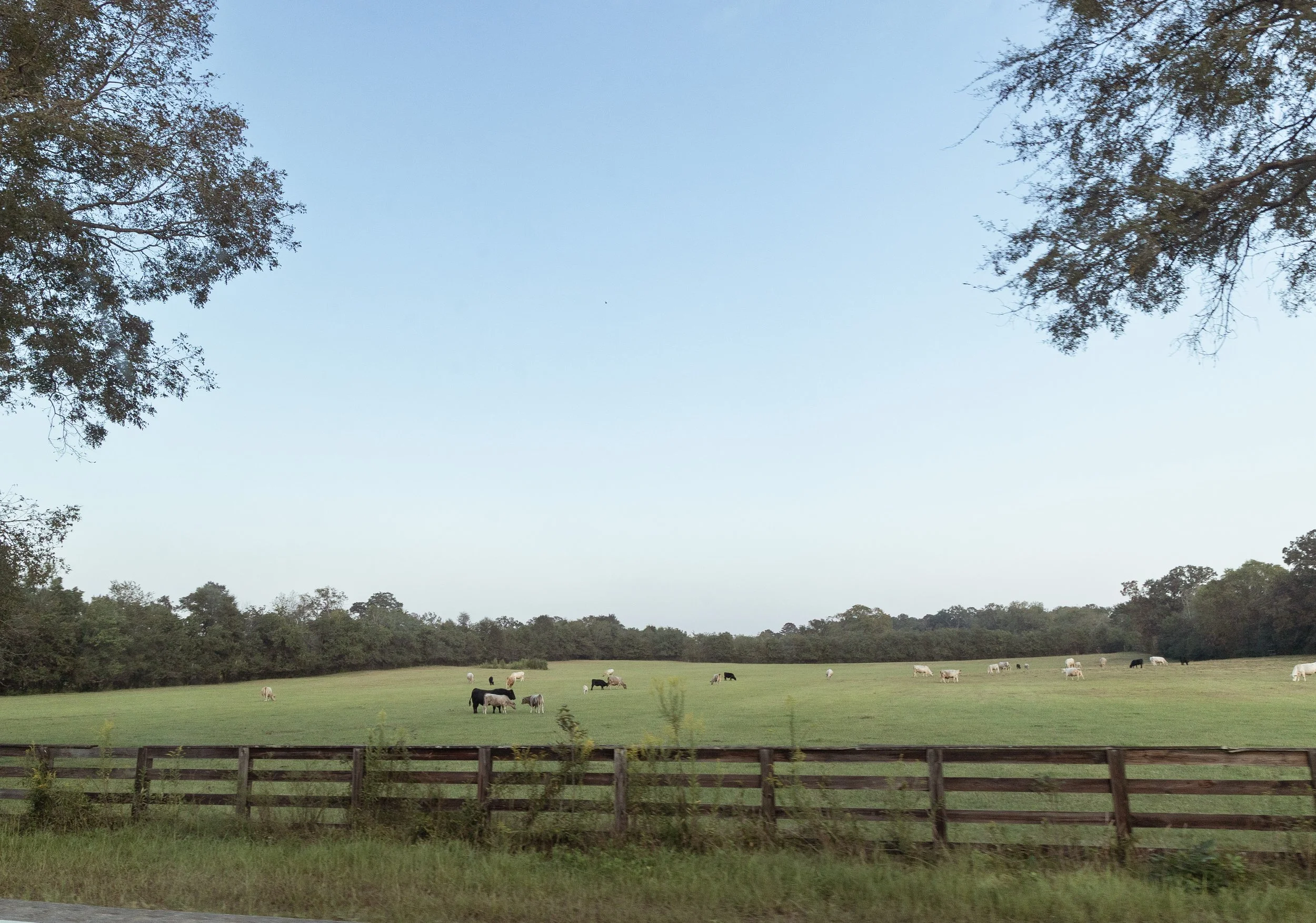 Linley-Wyatt-1.jpg