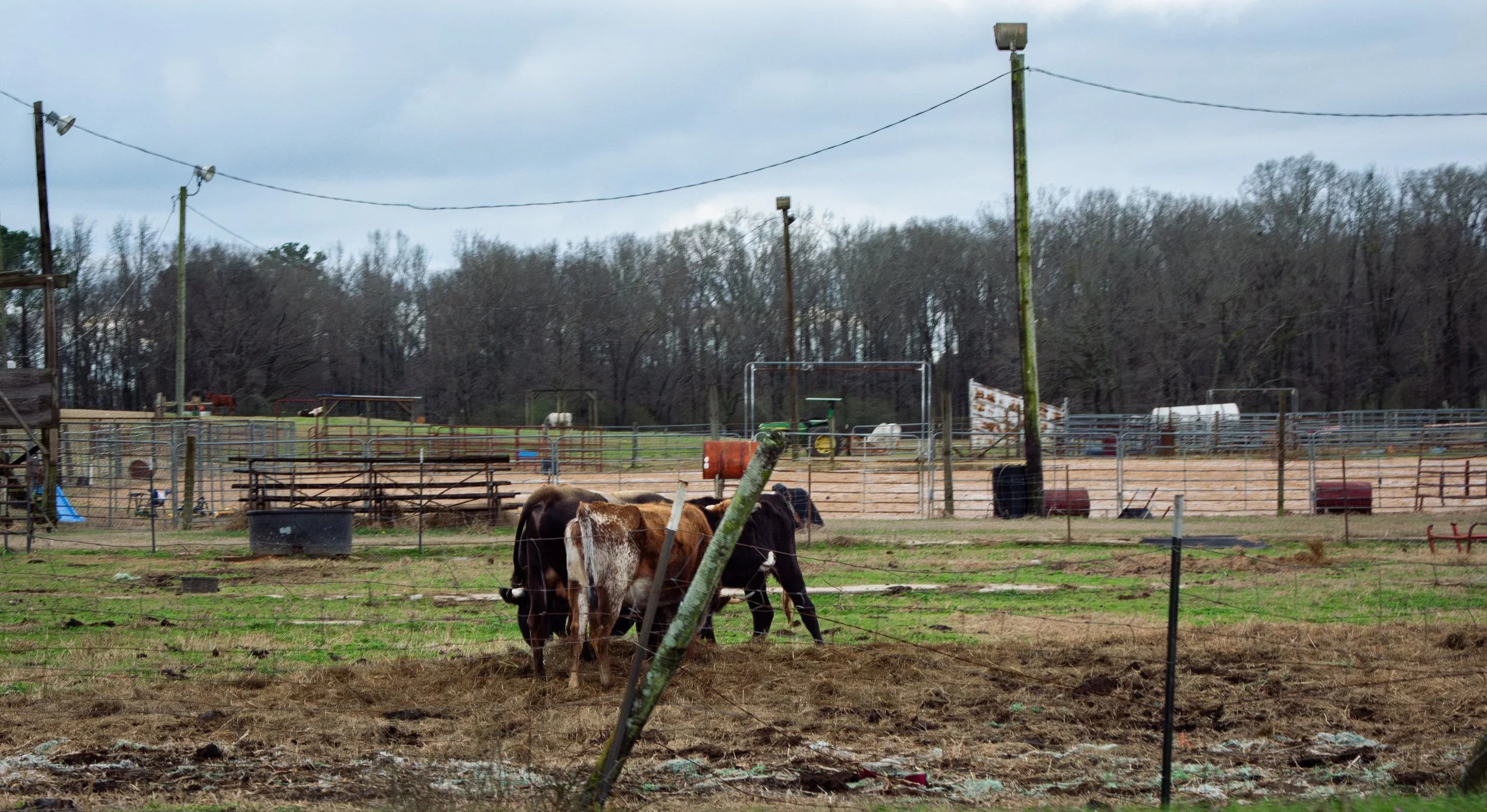 Almost a Farm
1-20 W
I used to ride horses.
I find myself wanting to learn to ride again.