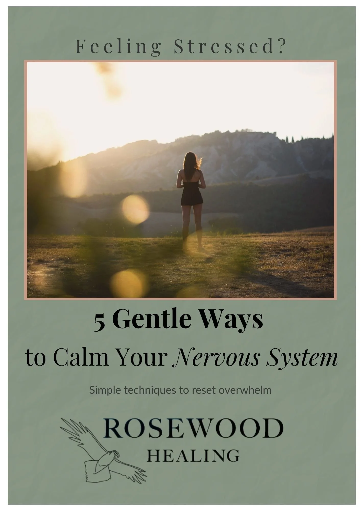 Cover of free guide showing woman with back turned looking over a nature view
