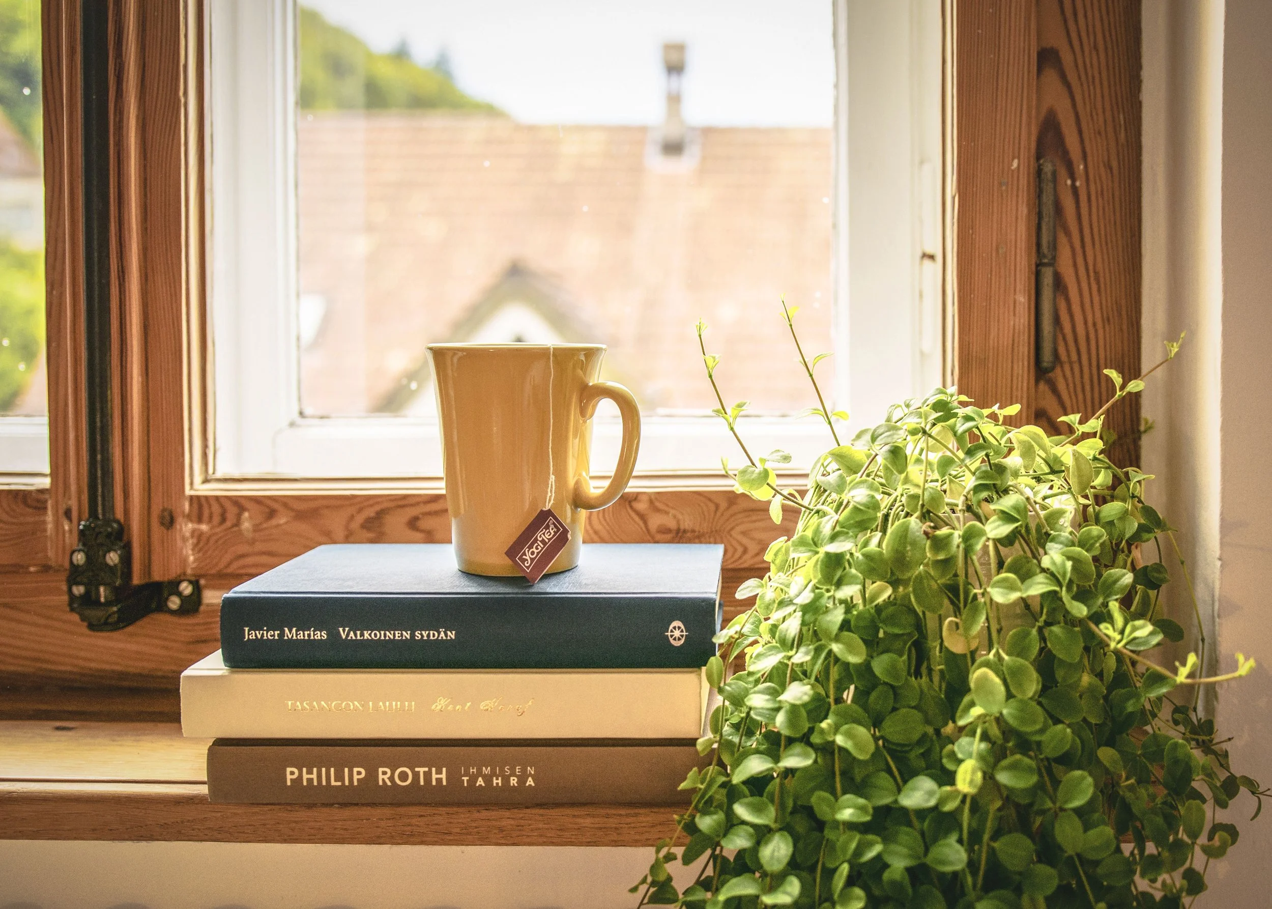 Cup of tea on books next to a window and indoor plant