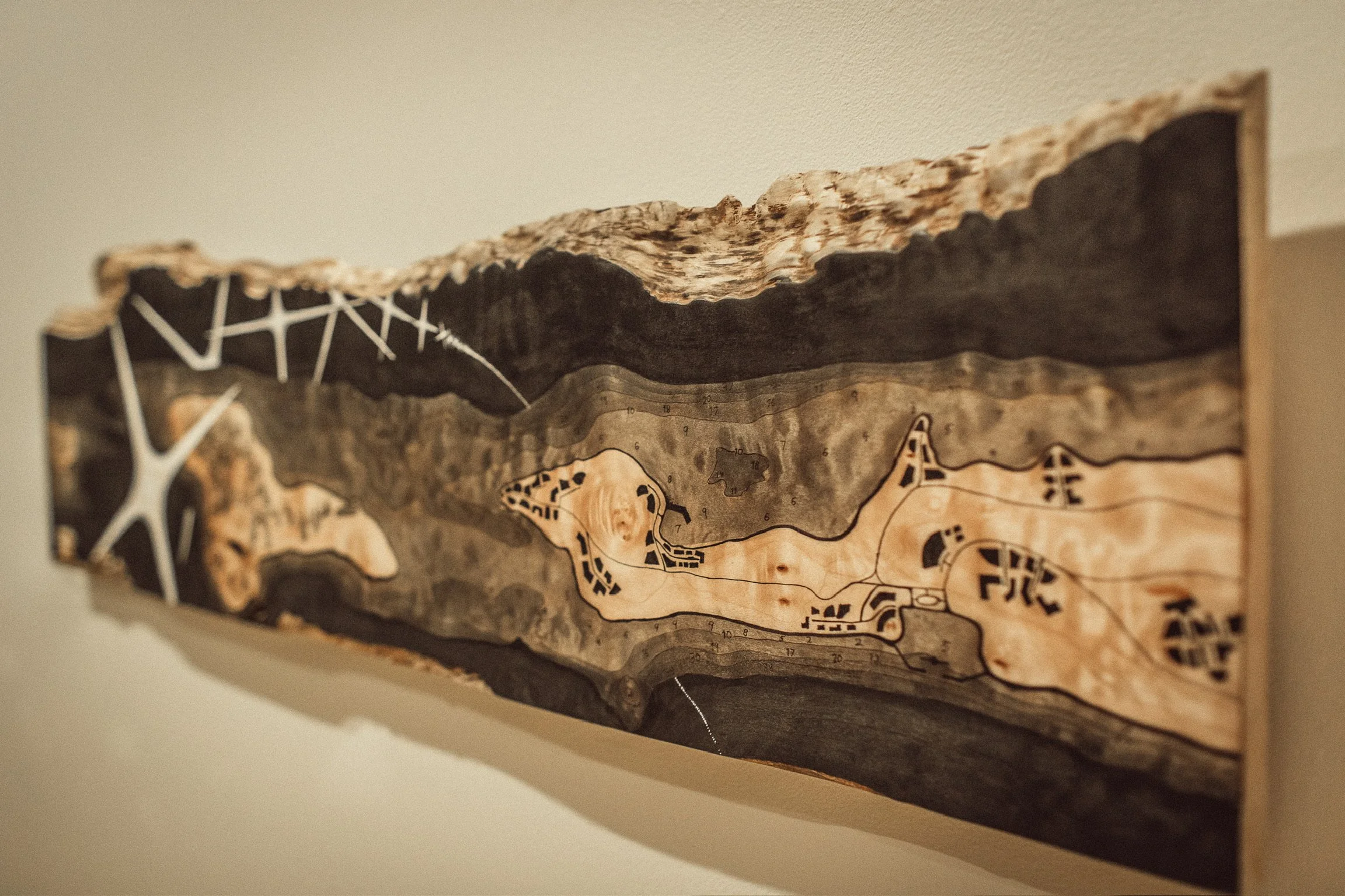 Michael Barkley artist and woodworker