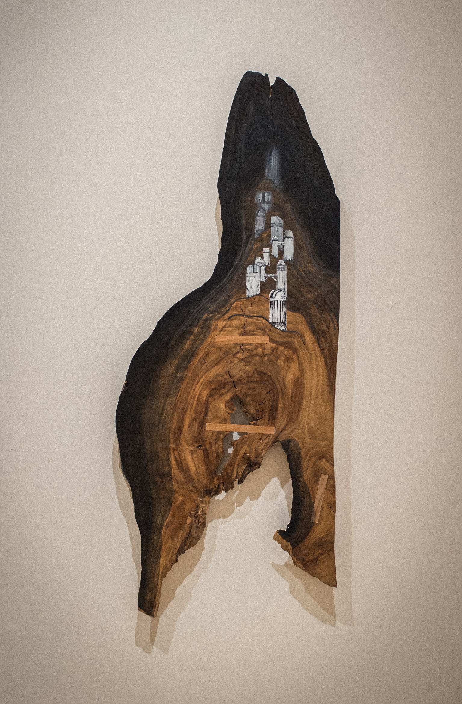 Michael Barkley artist and woodworker