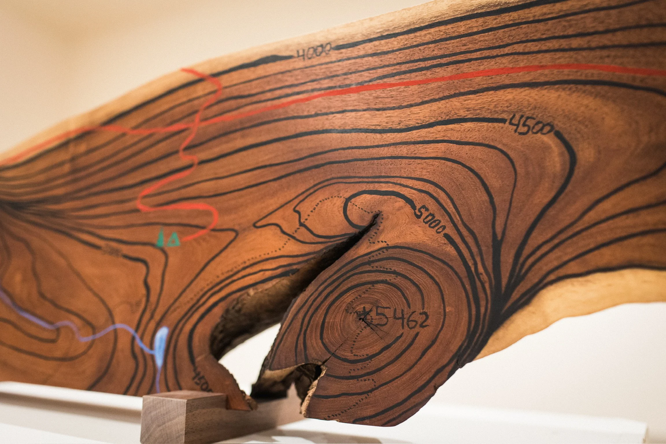 Michael Barkley artist and woodworker