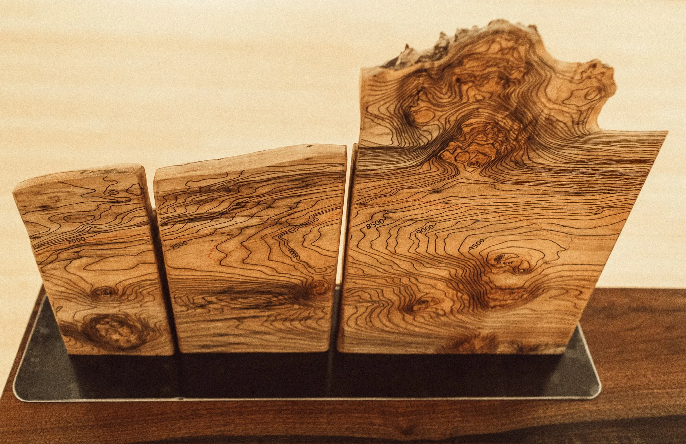 Michael Barkley artist and woodworker