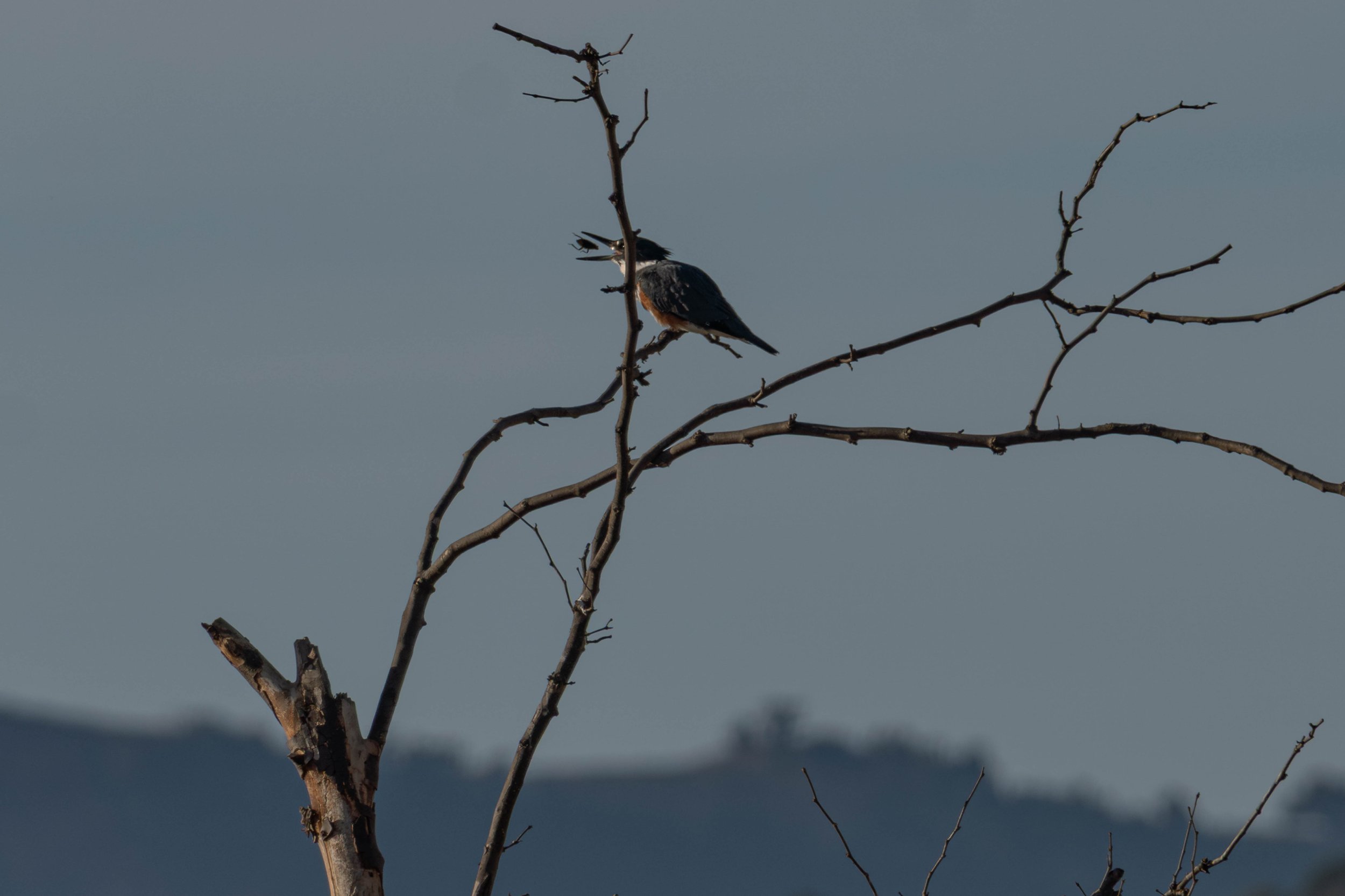 River flood aftermath 