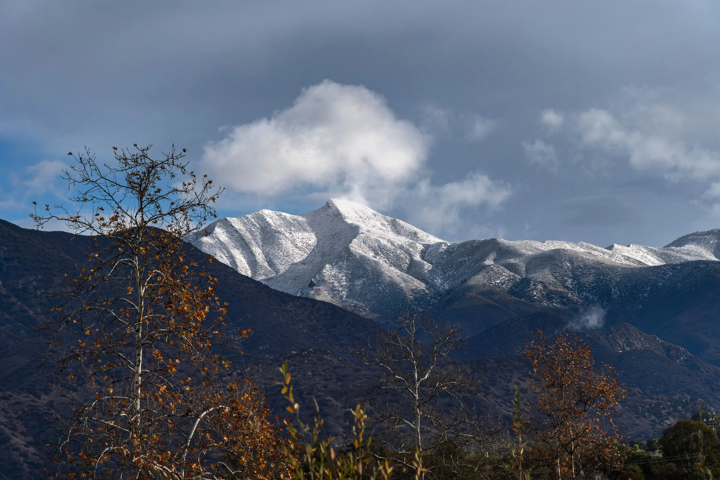 Added a few older snaps…