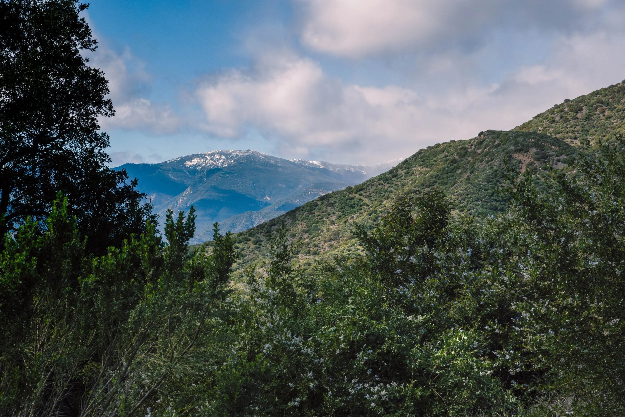 Snow spotted from the Pratt trail…