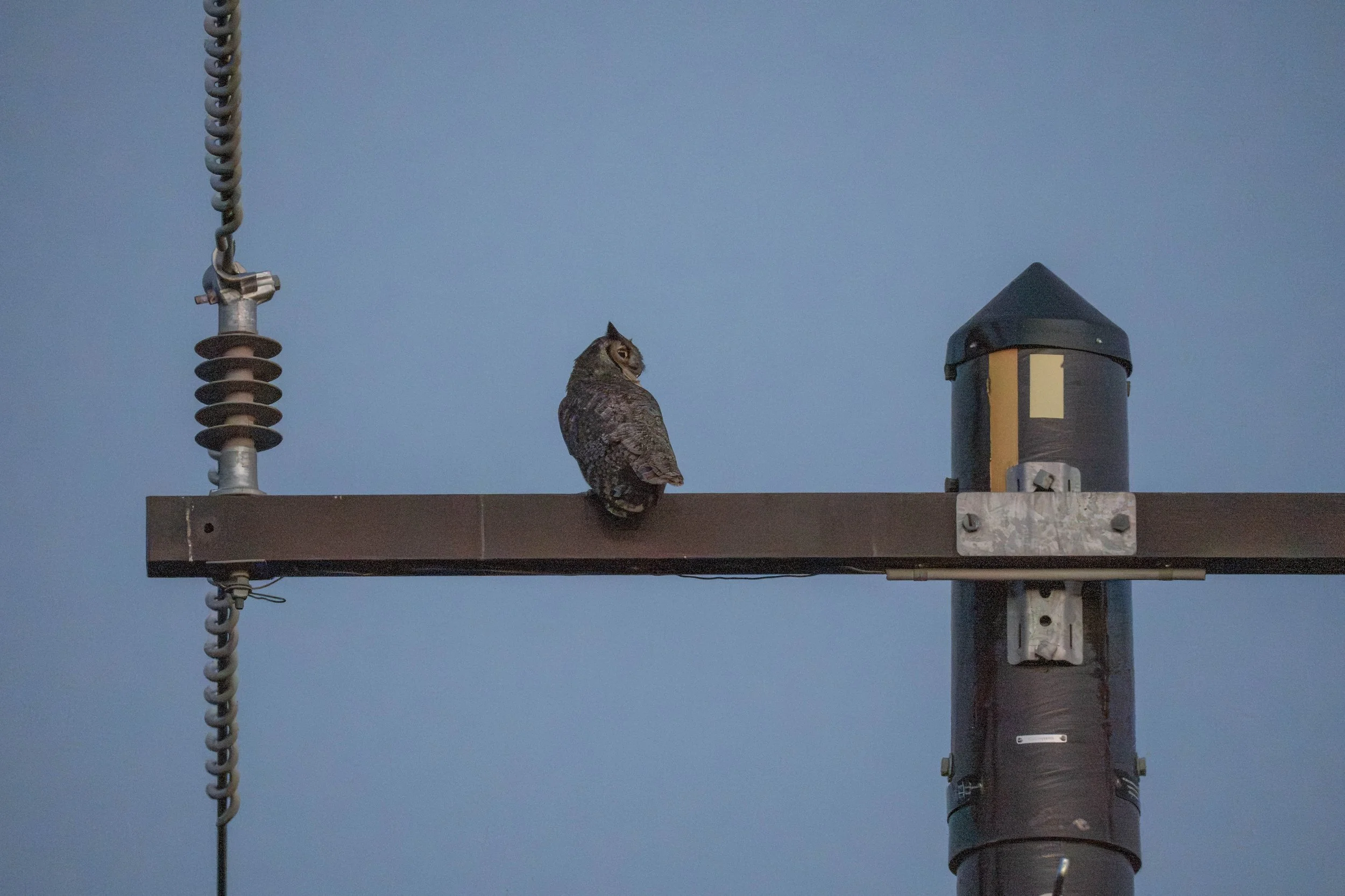 Identified the male this evening