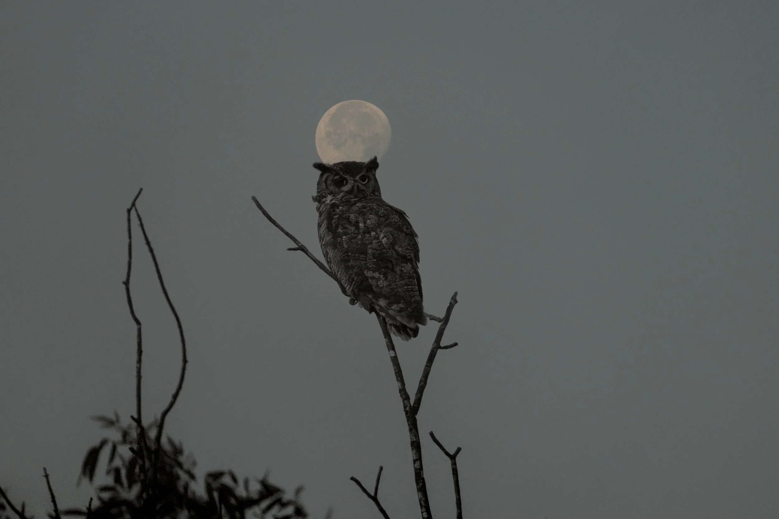 Lars last evening…