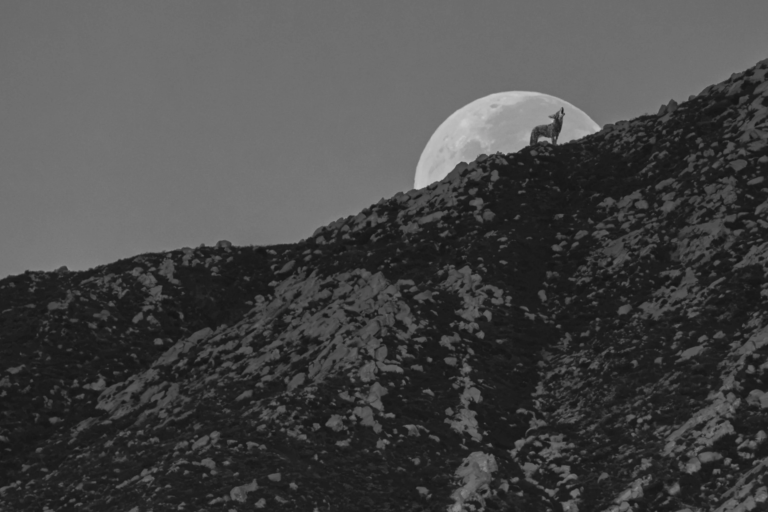 Moonset this morning