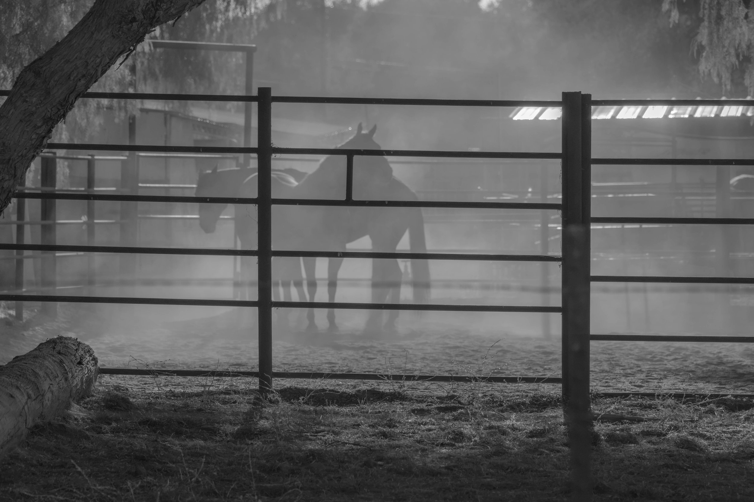 DSC06888.jpg
