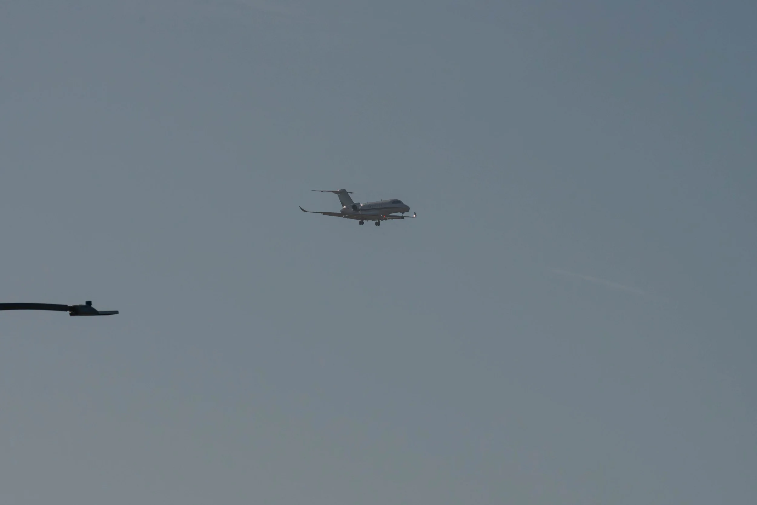 DSC09699.jpg