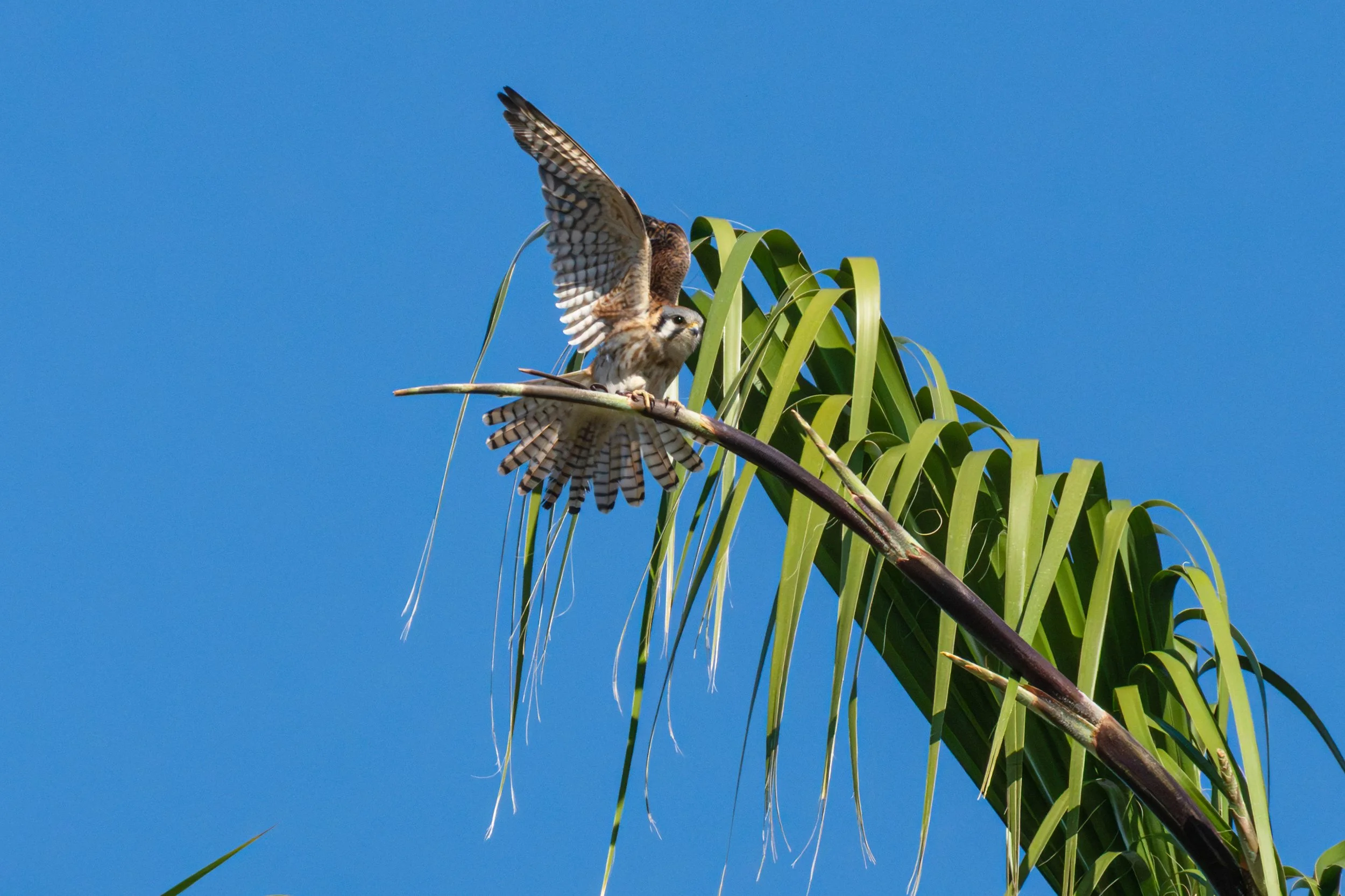 DSC09804-Edit.jpg