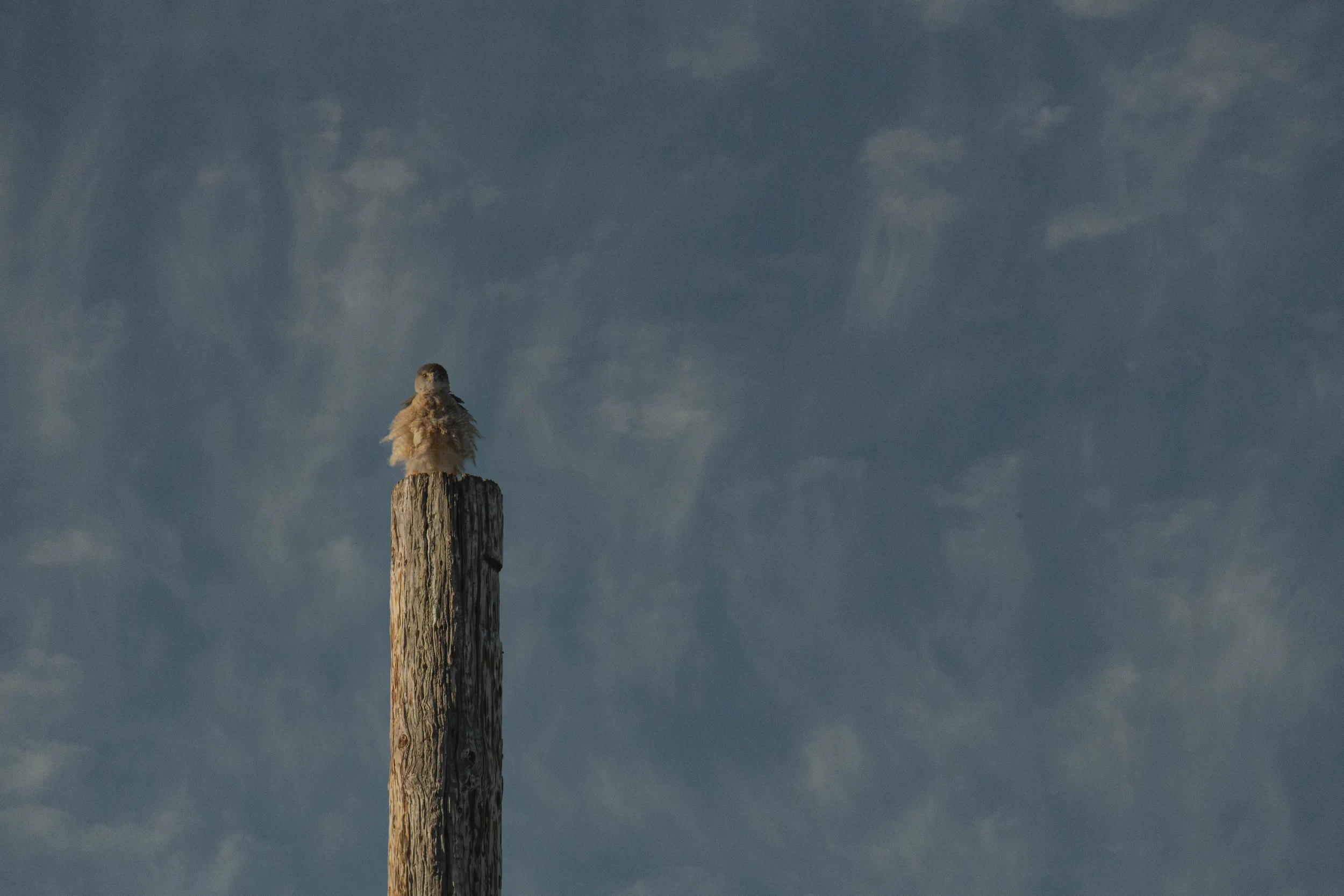 DSC06944-Edit.jpg