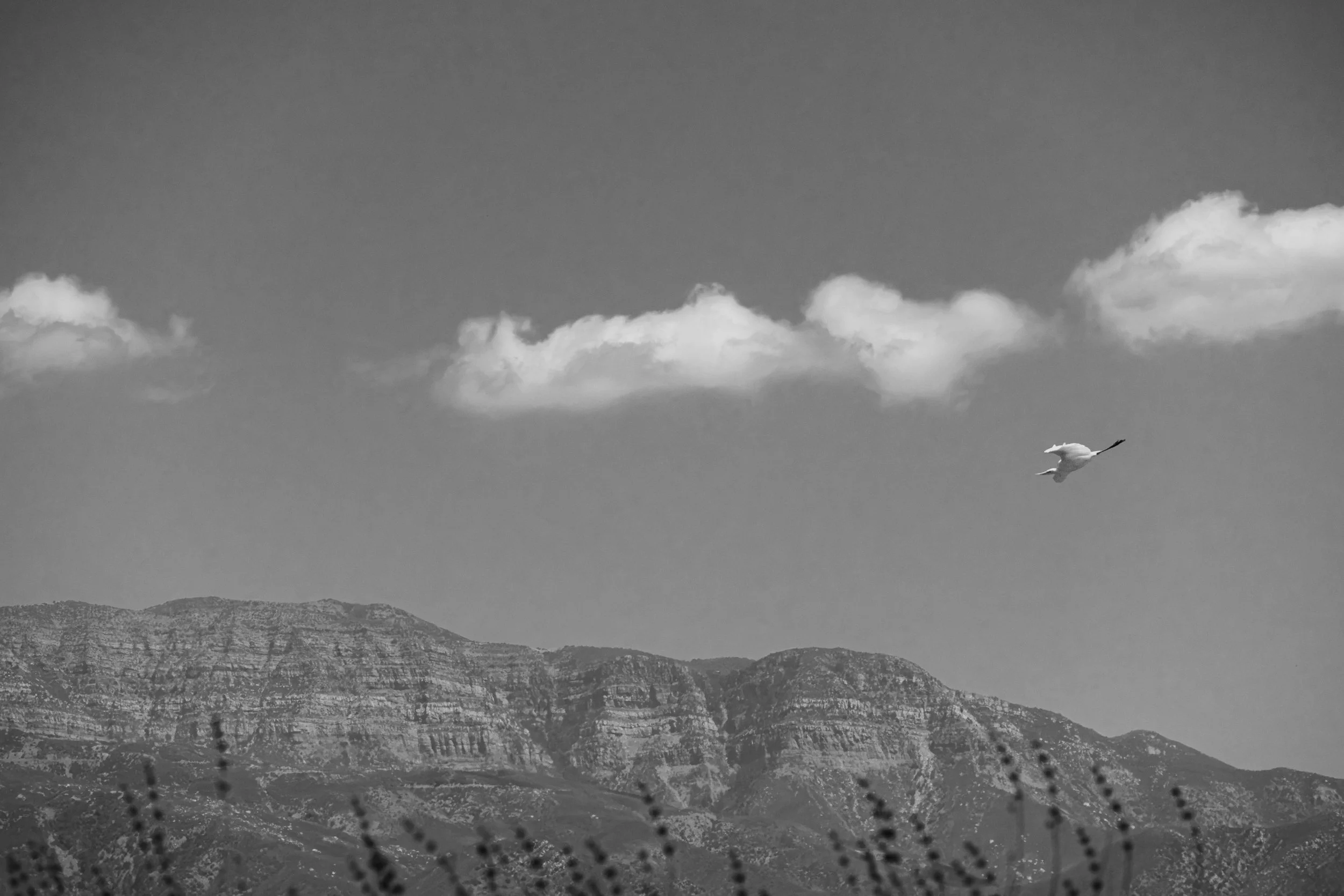 DSC05304-Edit.jpg
