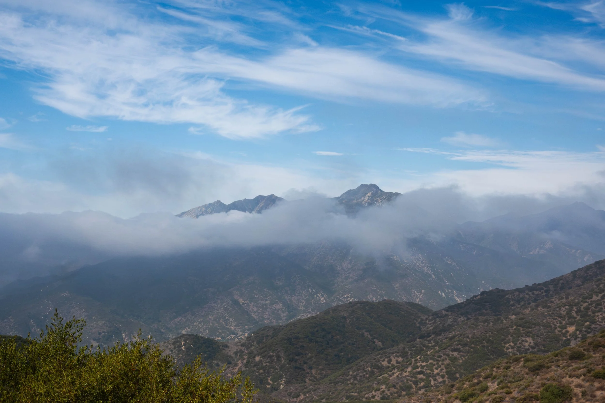 DSC02688-Edit.jpg