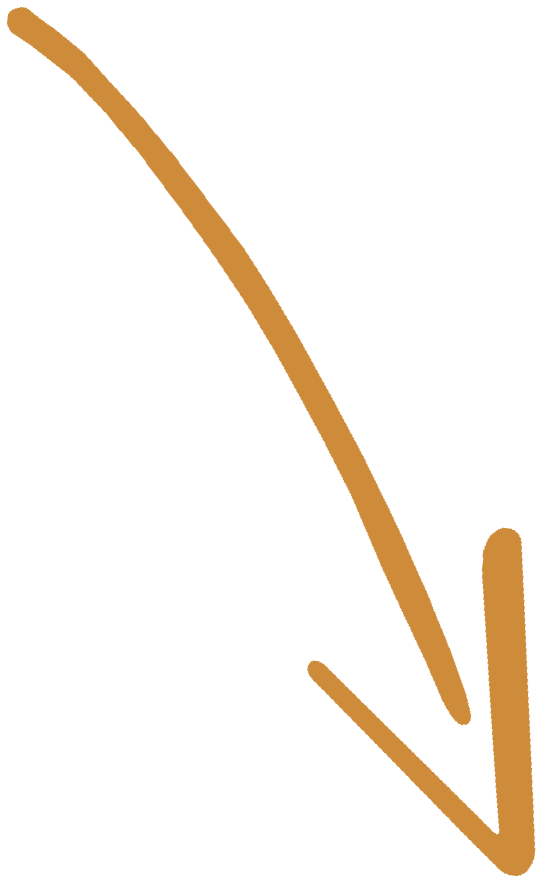 Brown arrow pointing downward.